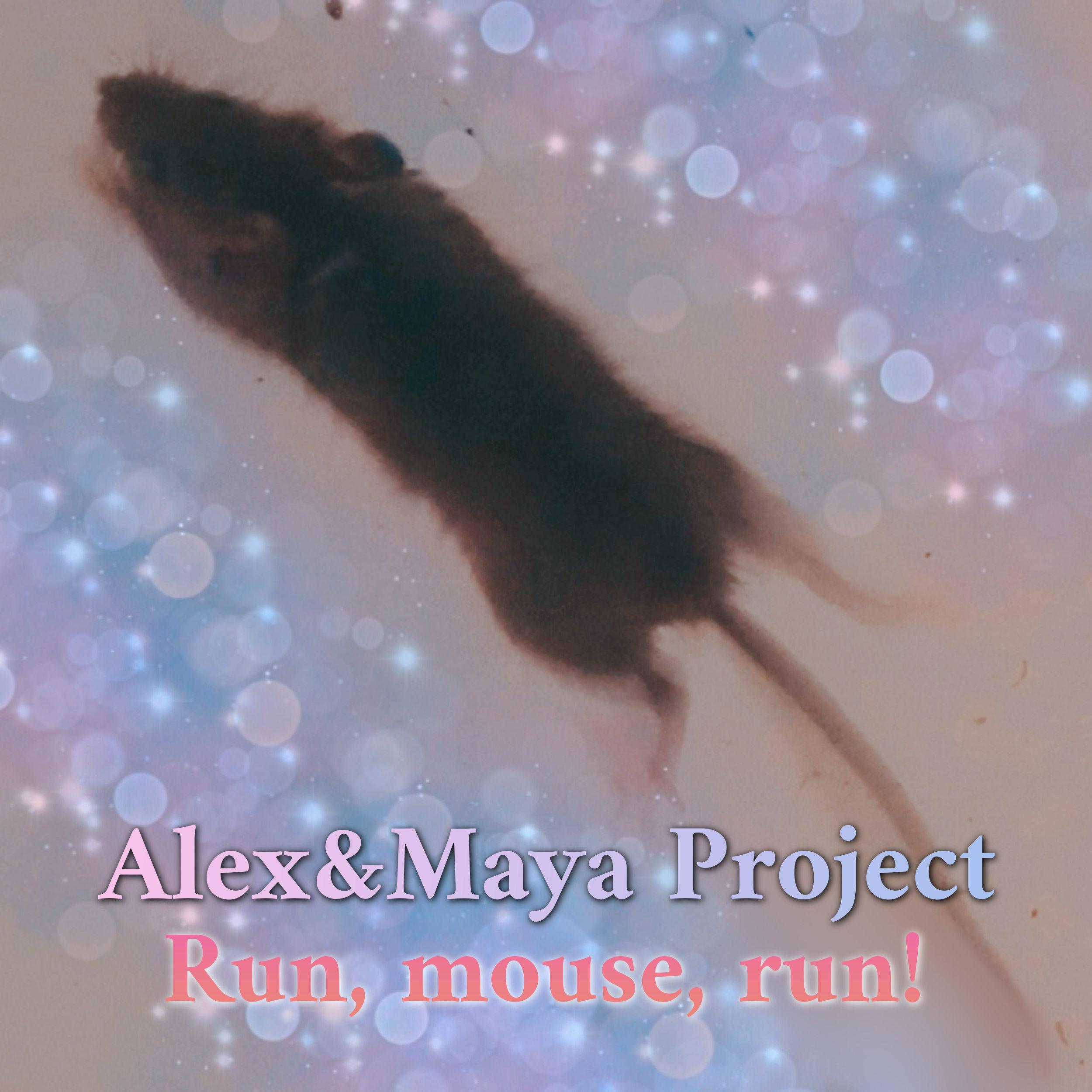 Постер альбома Run, Mouse, run!