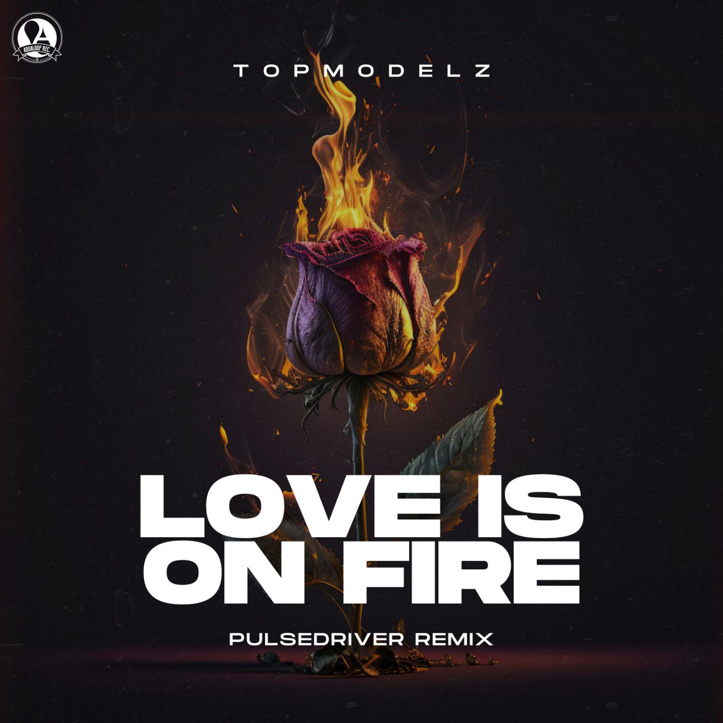 Постер альбома Love Is On Fire