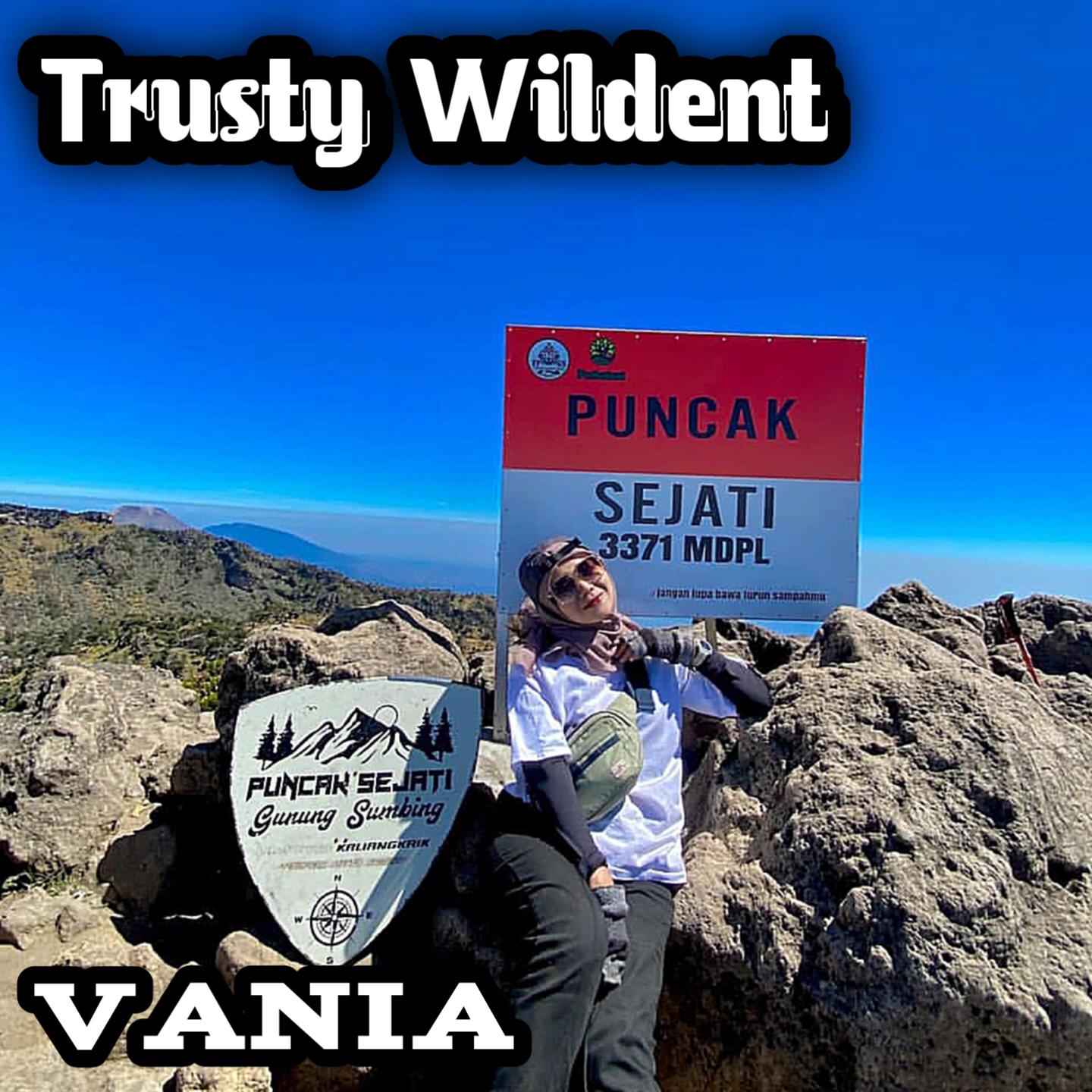 Постер альбома Trusty Wildent