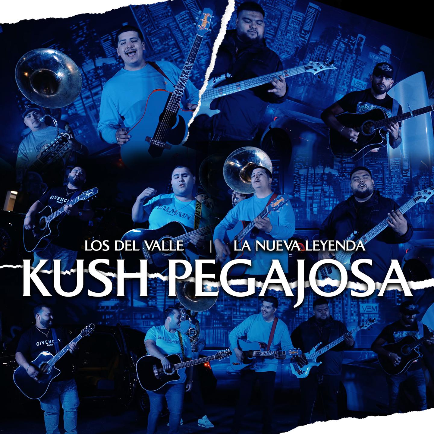 Постер альбома Kush Pegajosa