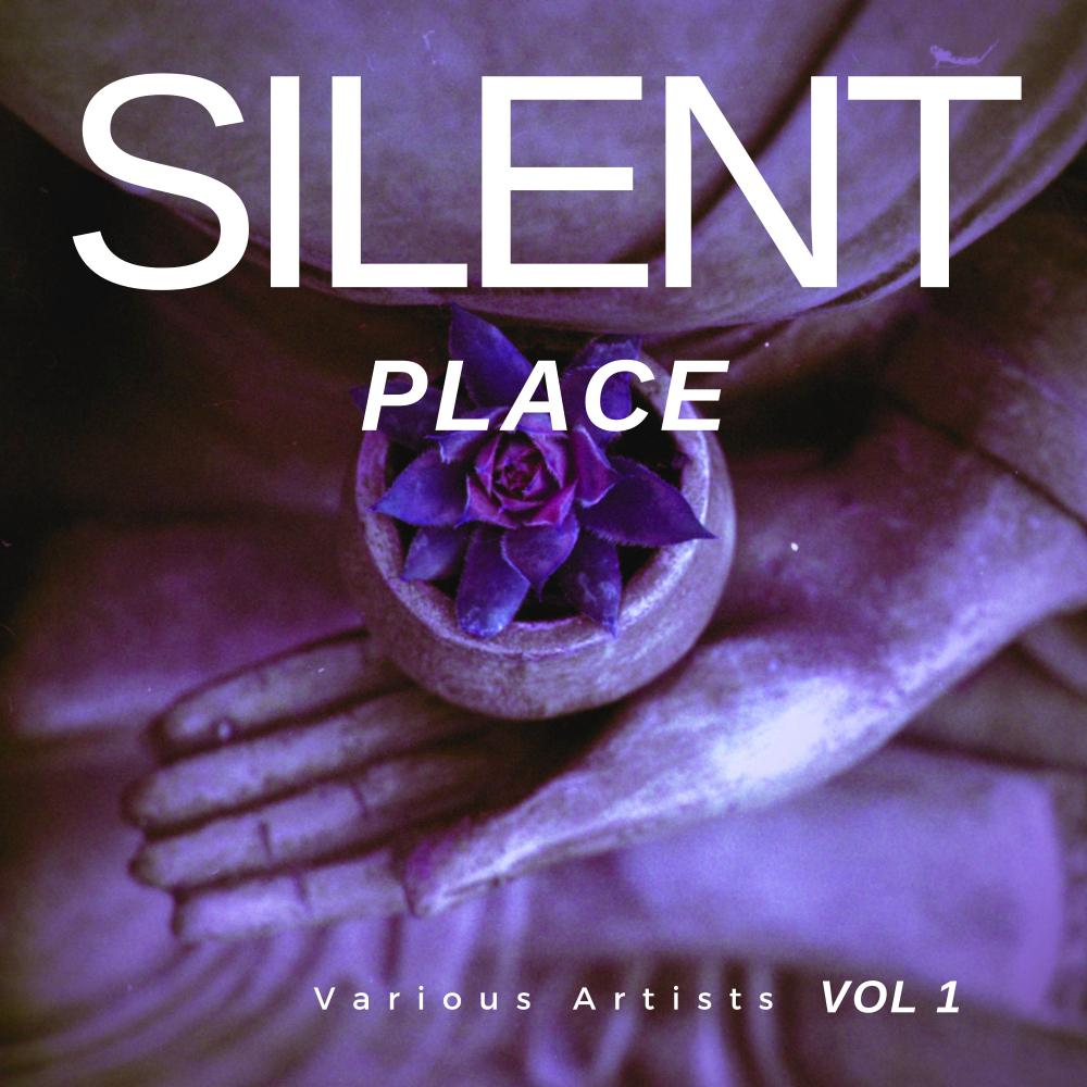 Постер альбома Silent Place, Vol. 1