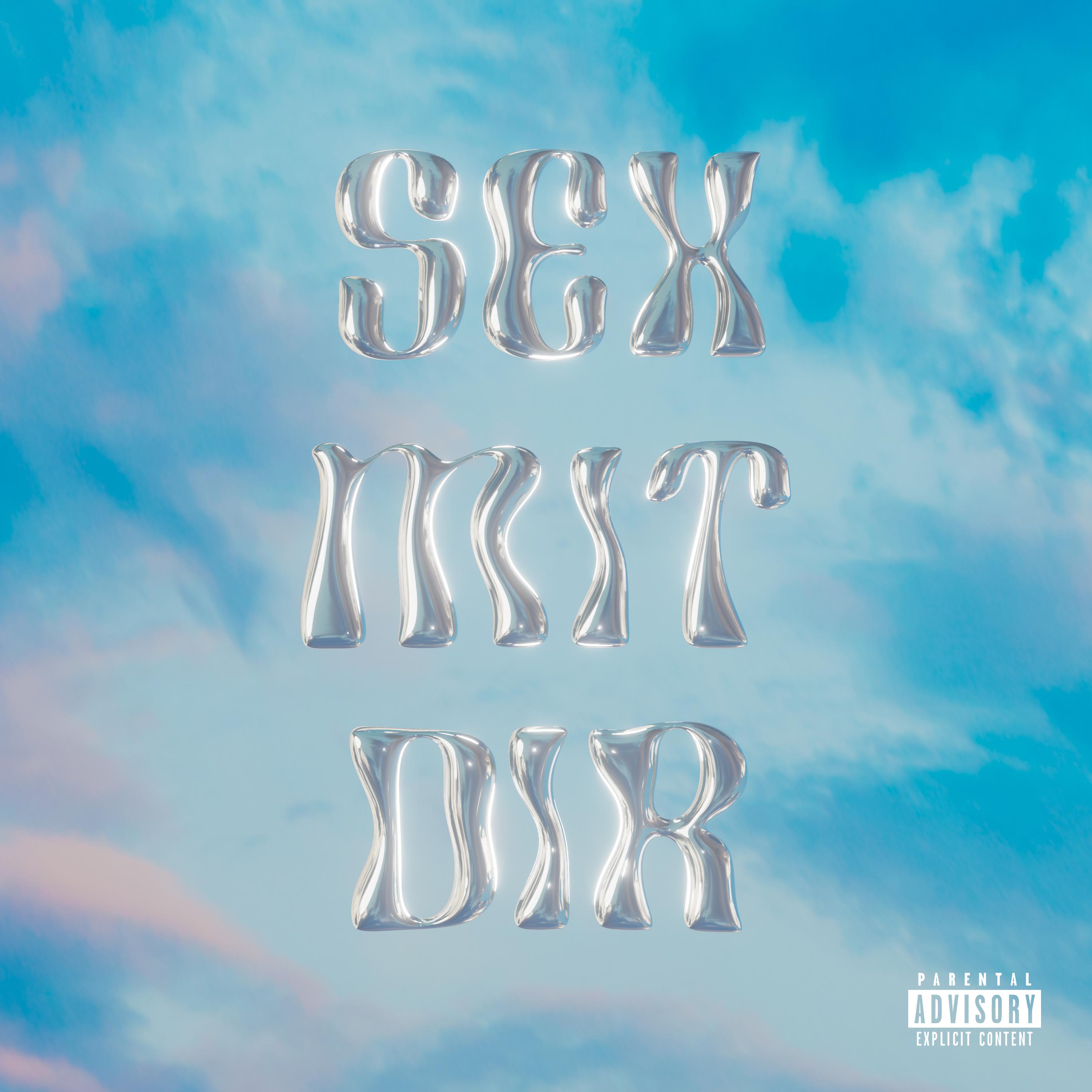 Постер альбома Sex mit dir