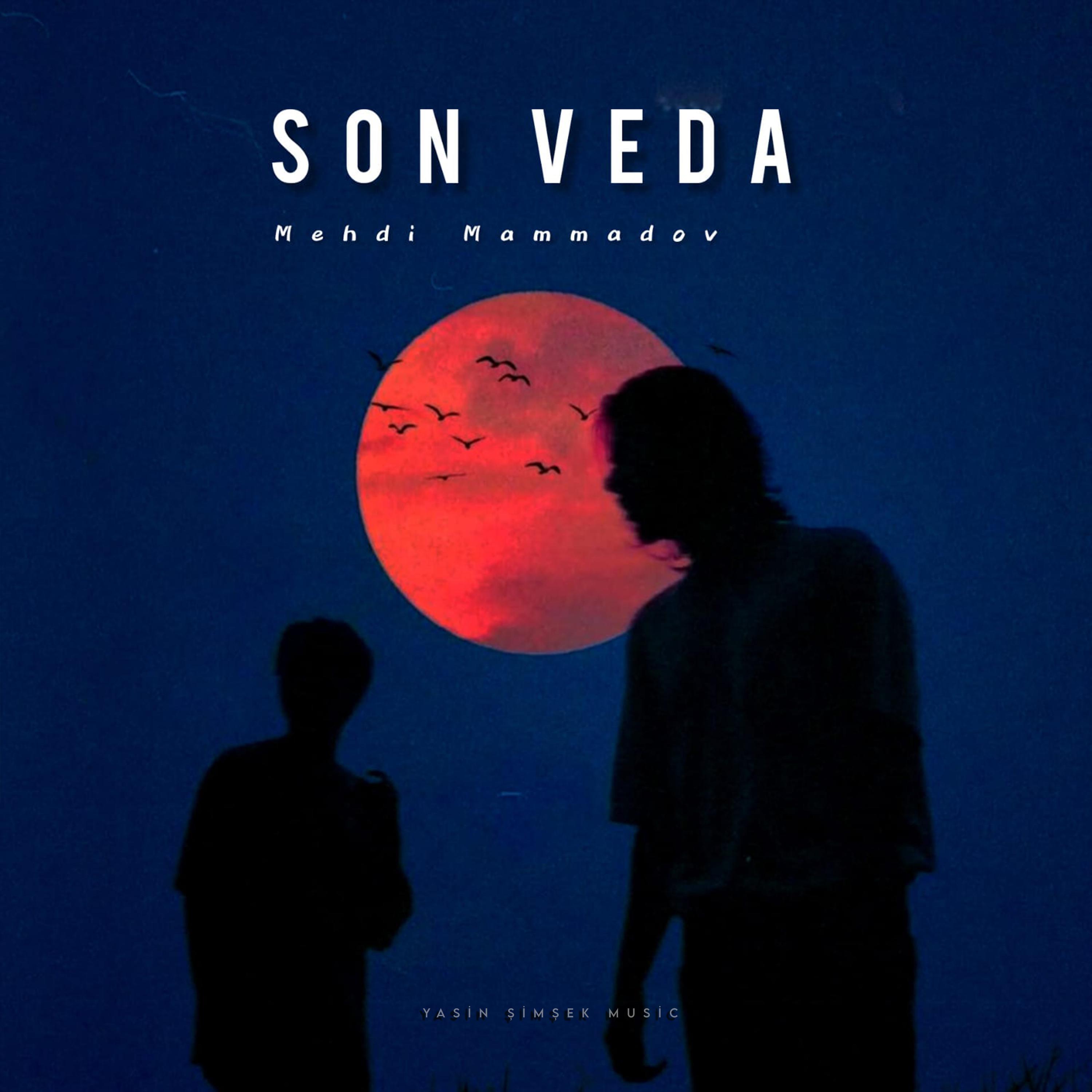 Постер альбома Son Veda