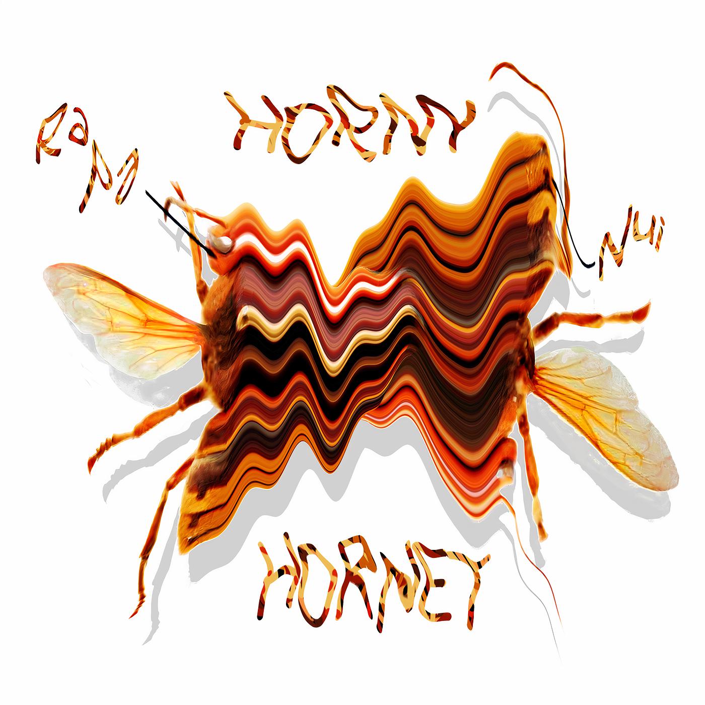Постер альбома Horny Hornet