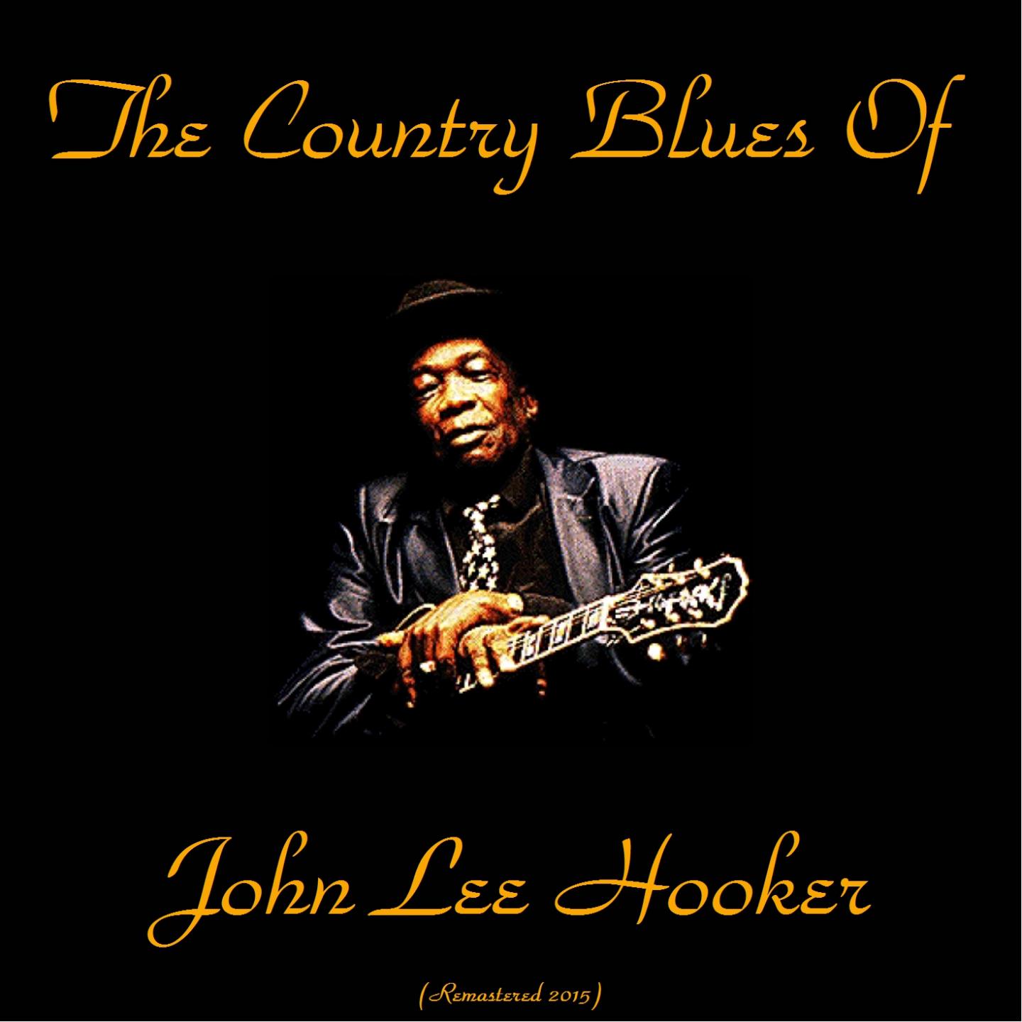 John Lee Hooker - Black Snake (Remastered)