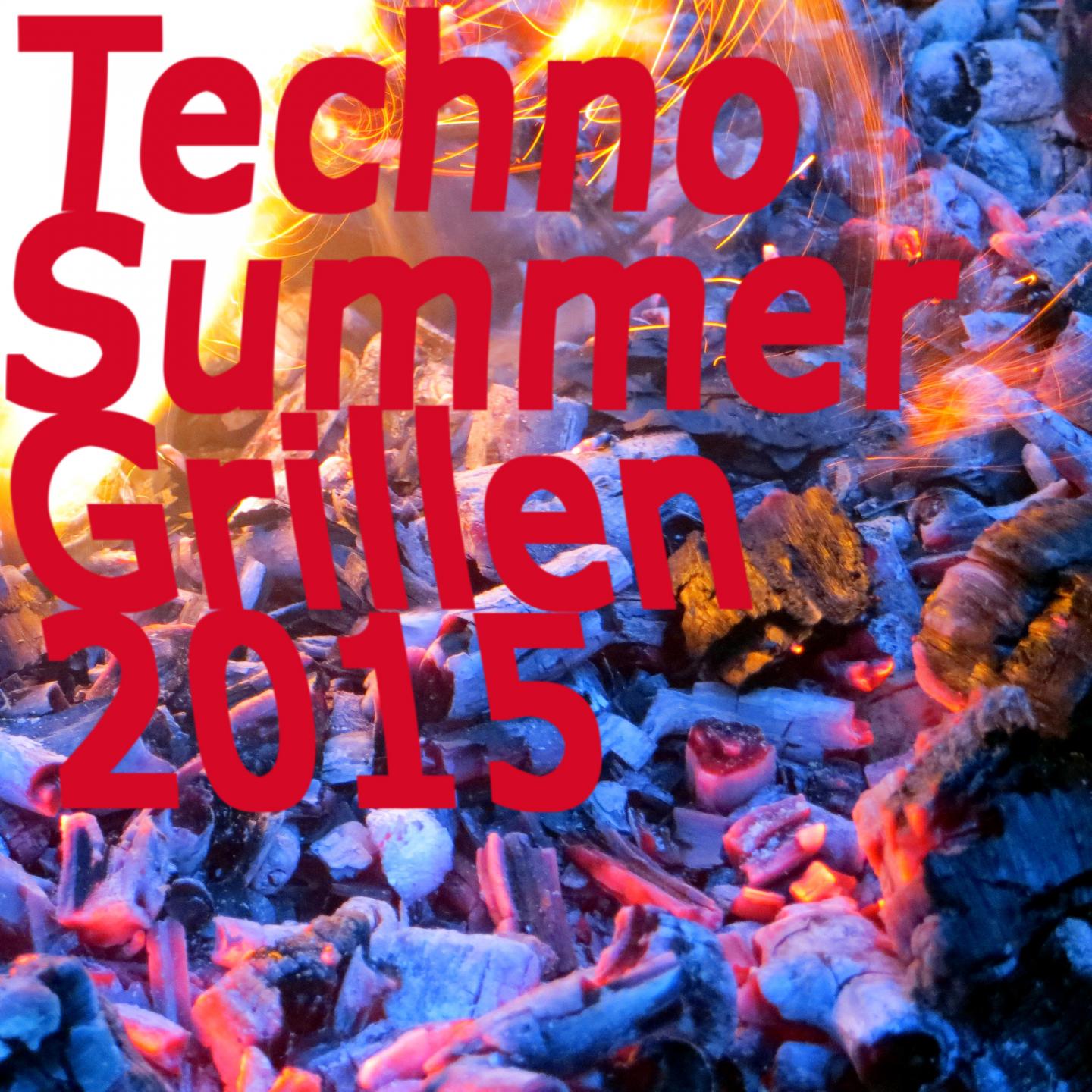 Постер альбома Techno Summer Grillen 2015