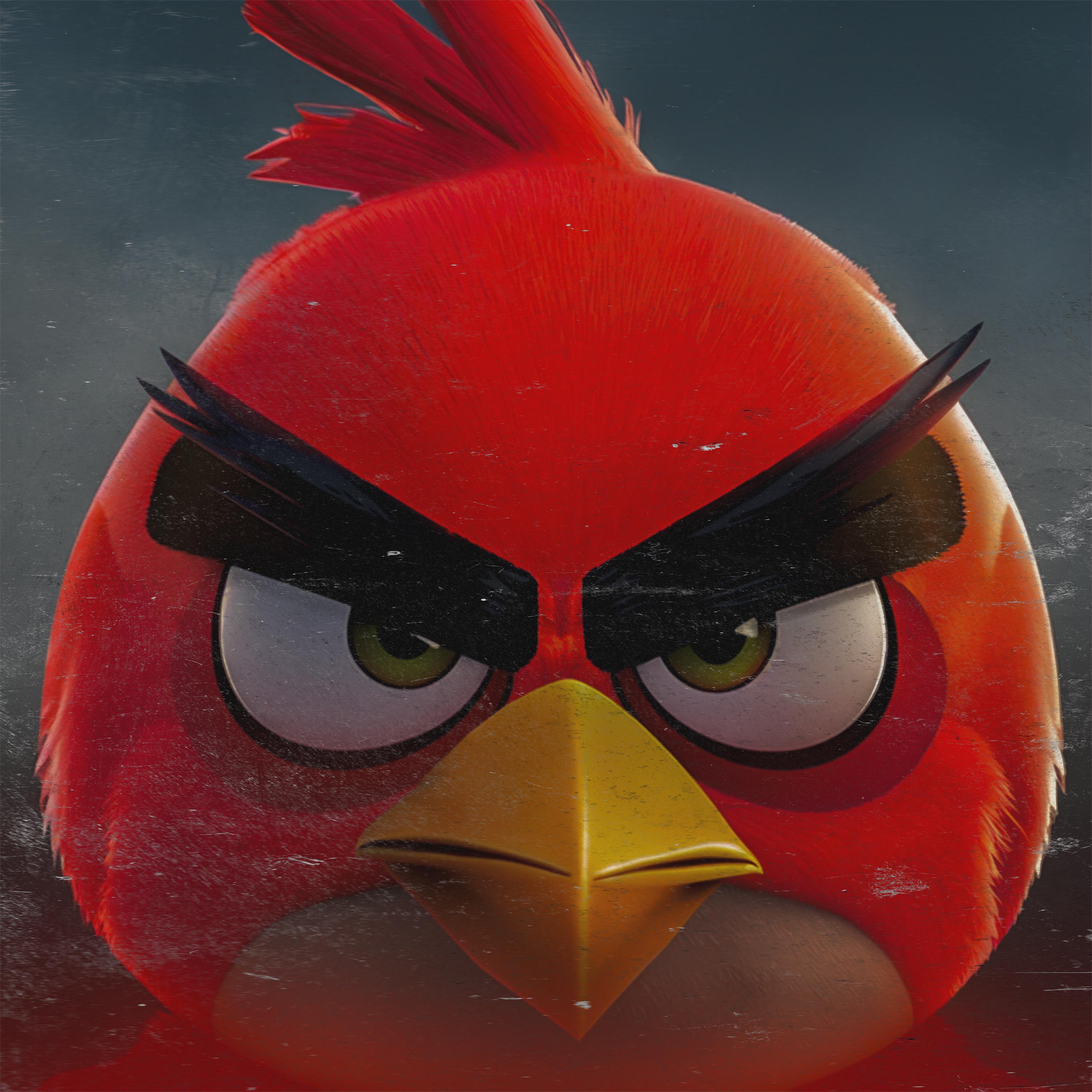 Постер альбома Angry Birds Phonk