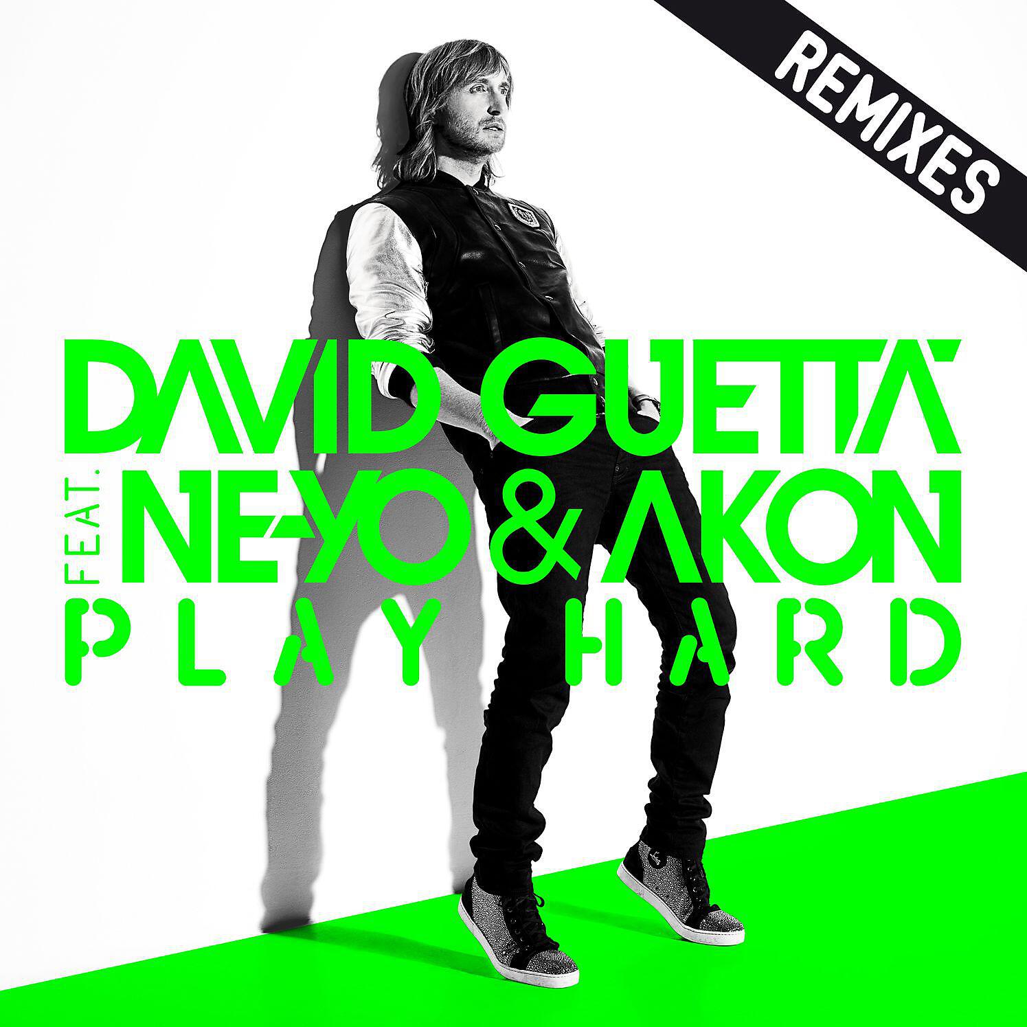 David Guetta - Play Hard (feat. Ne-Yo & Akon) [Maurizio Gubellini & Delayers in Da House Remix]