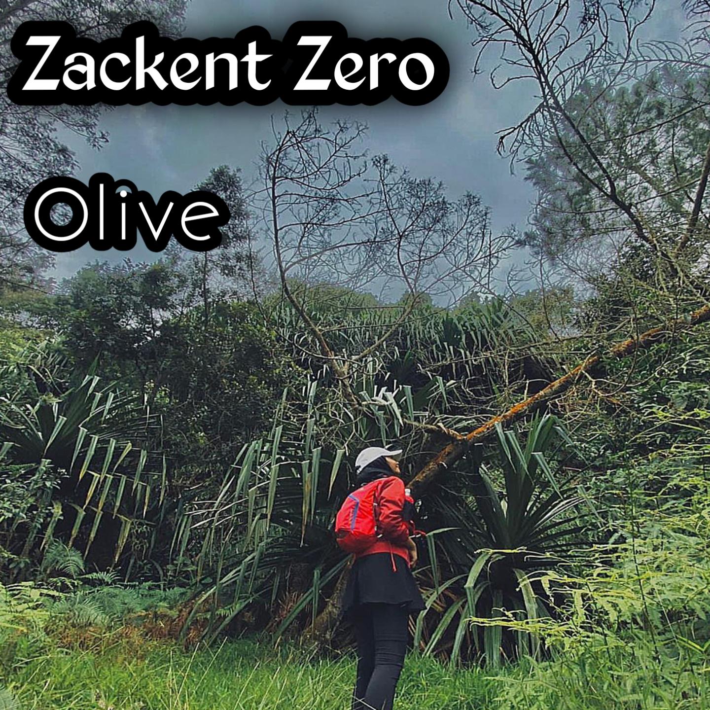 Постер альбома Zackent Zero