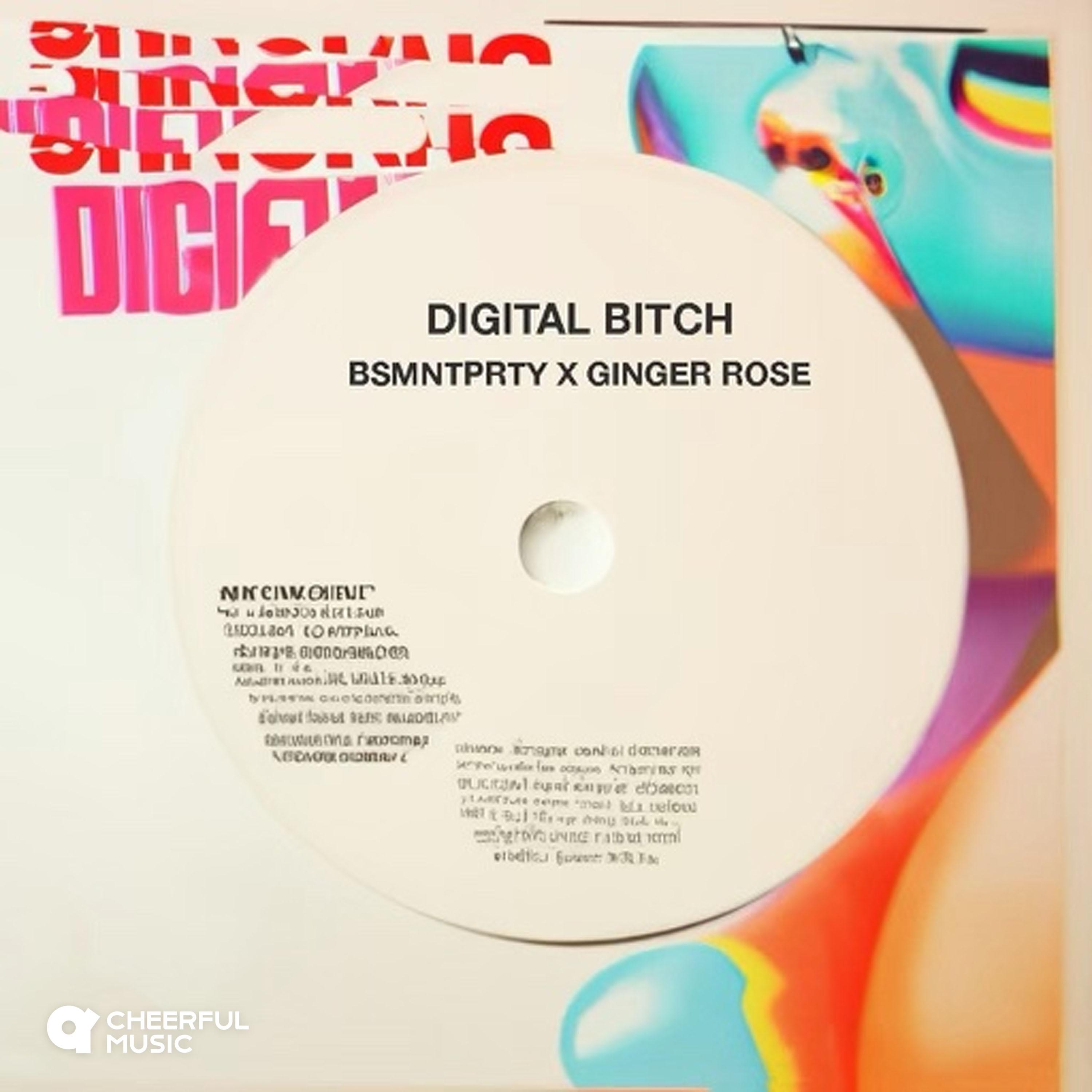 Постер альбома Digital Bitch