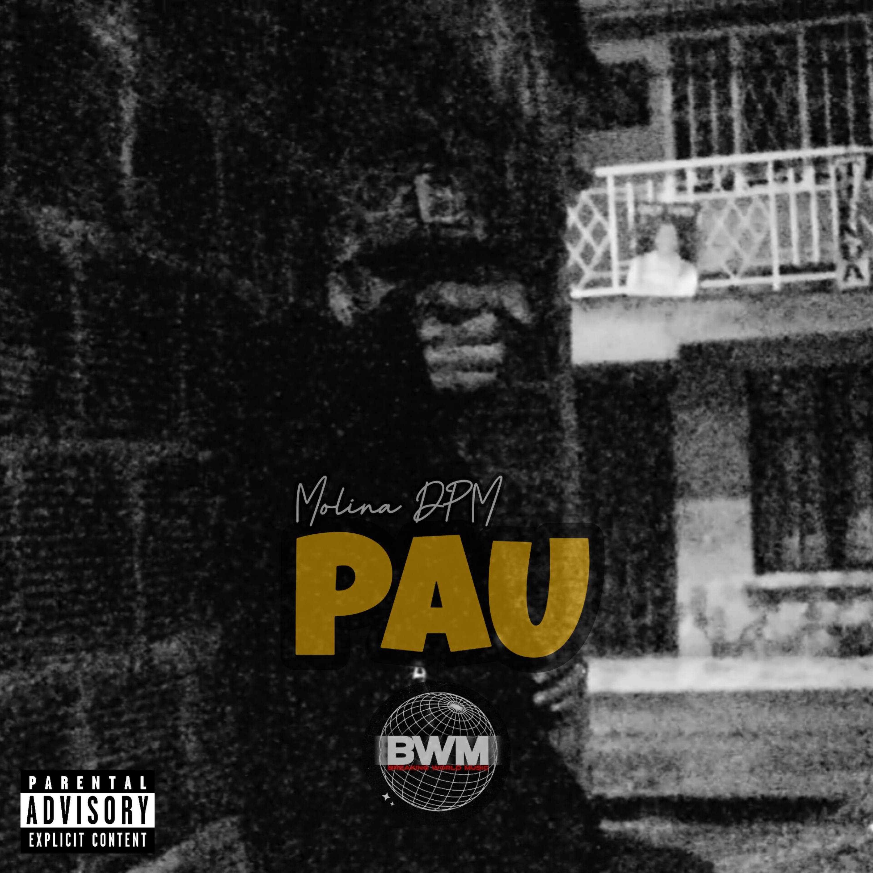 Постер альбома Pau