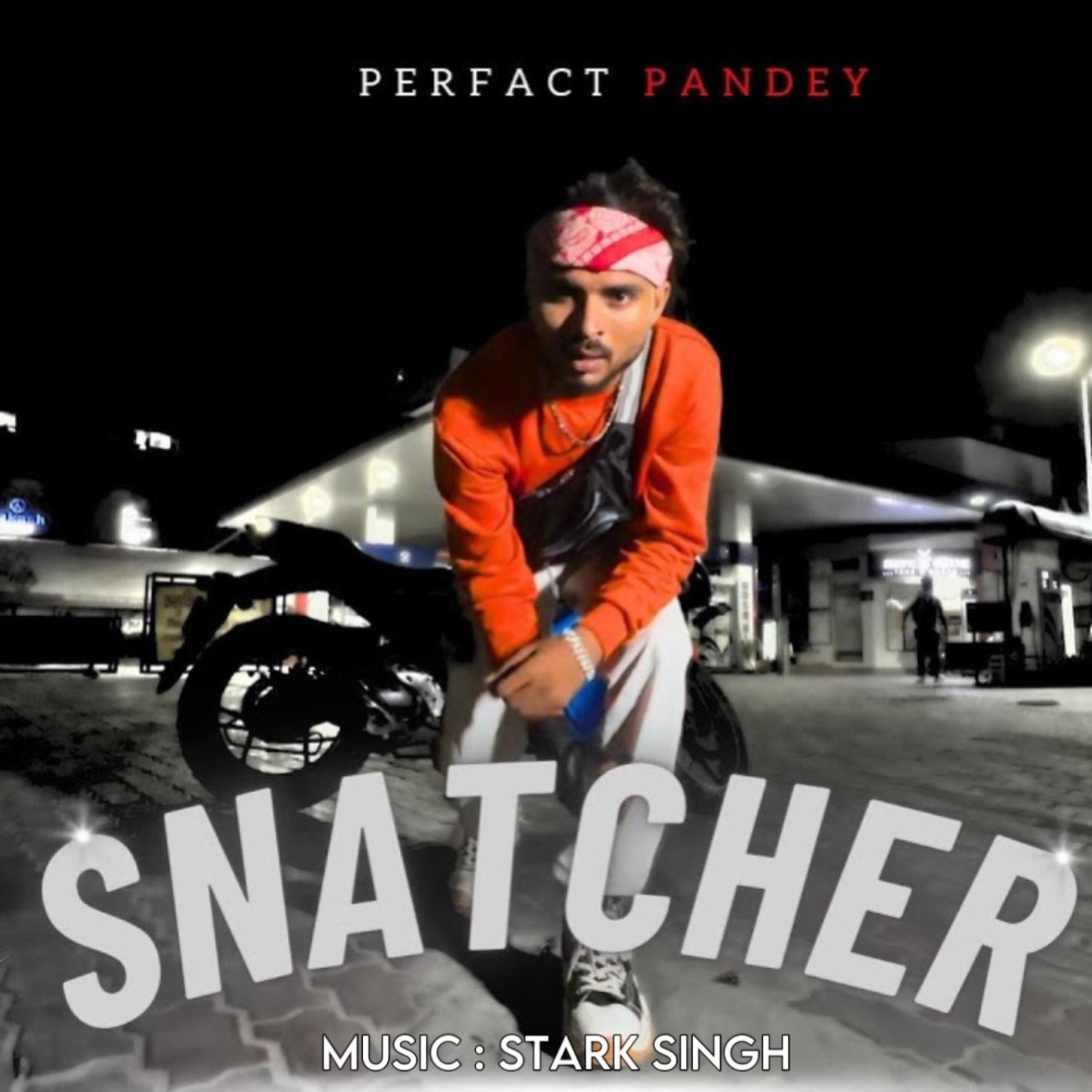 Постер альбома Snatcher