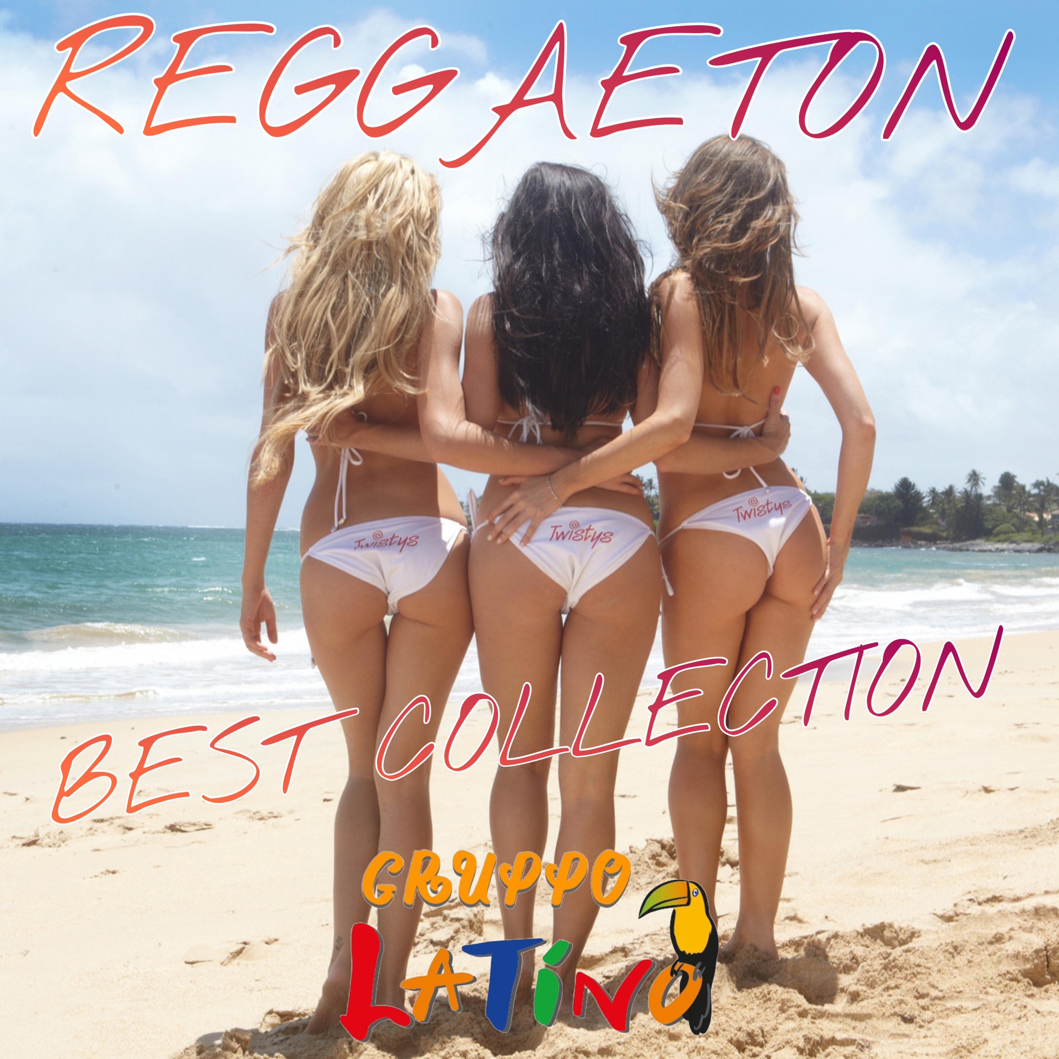 Постер альбома Reggaeton Best Collection
