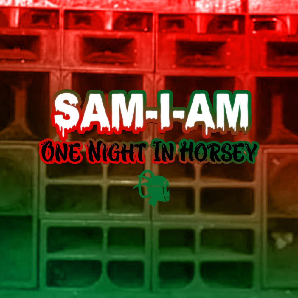 Постер альбома One Night in Horsey