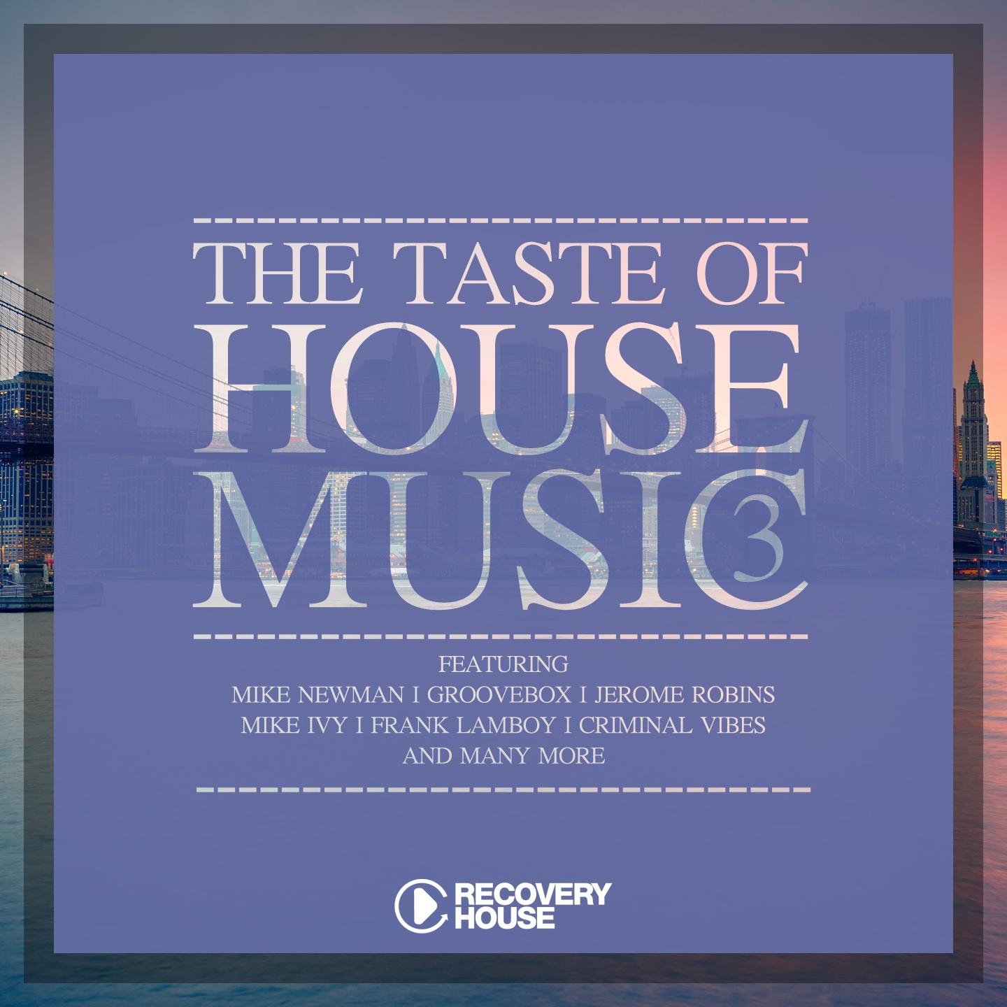 Постер альбома The Taste of House Music, Vol. 3
