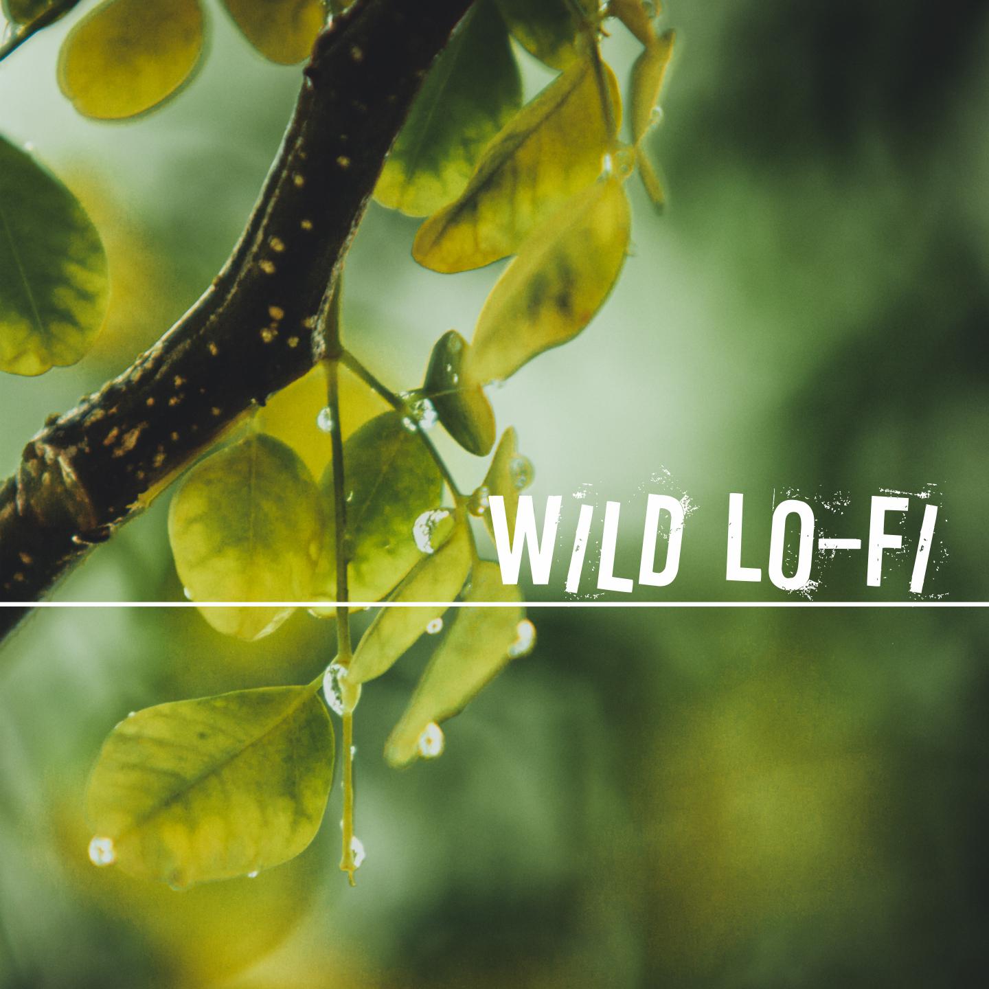 Постер альбома Wild Lo-Fi