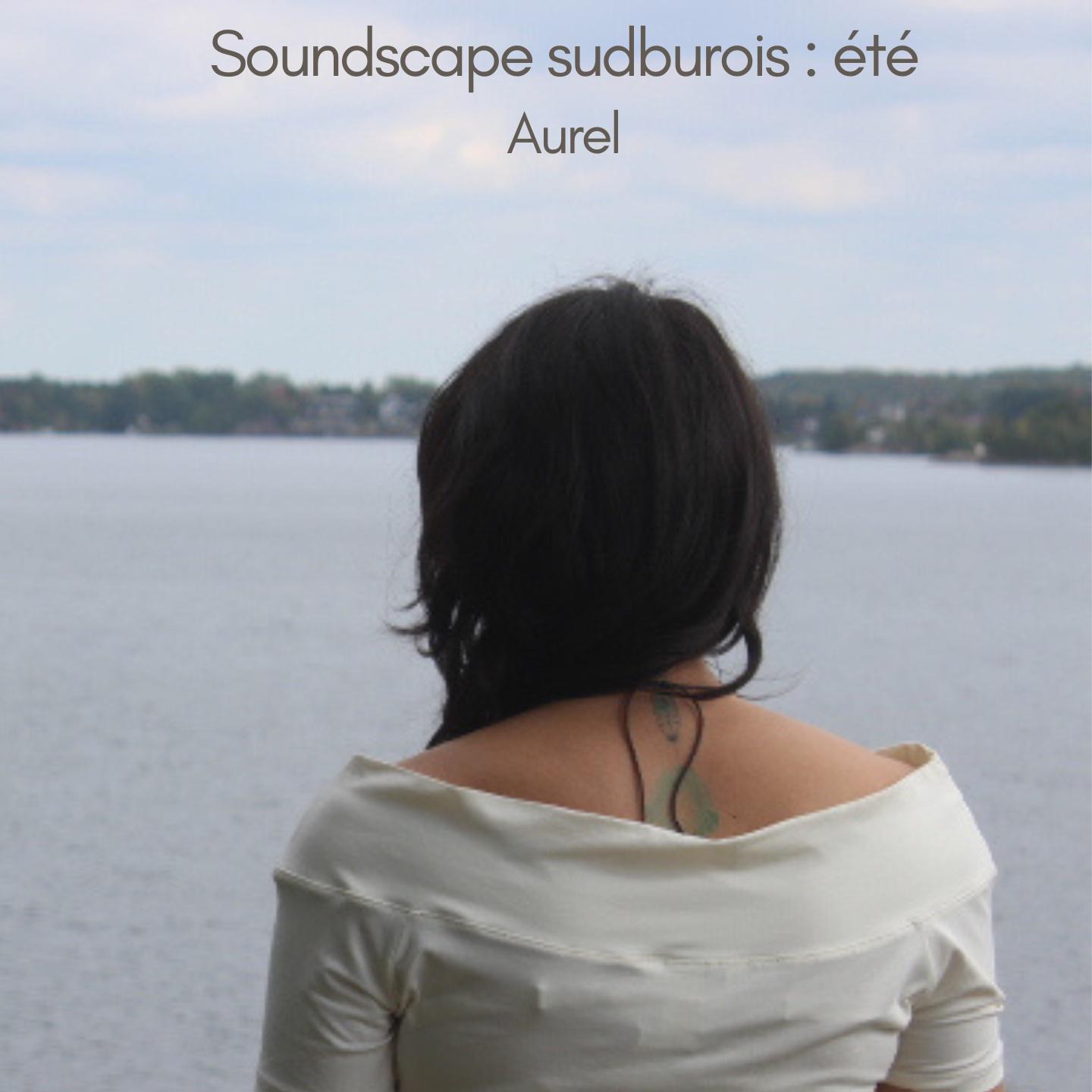 Постер альбома Soundscape sudburois - été