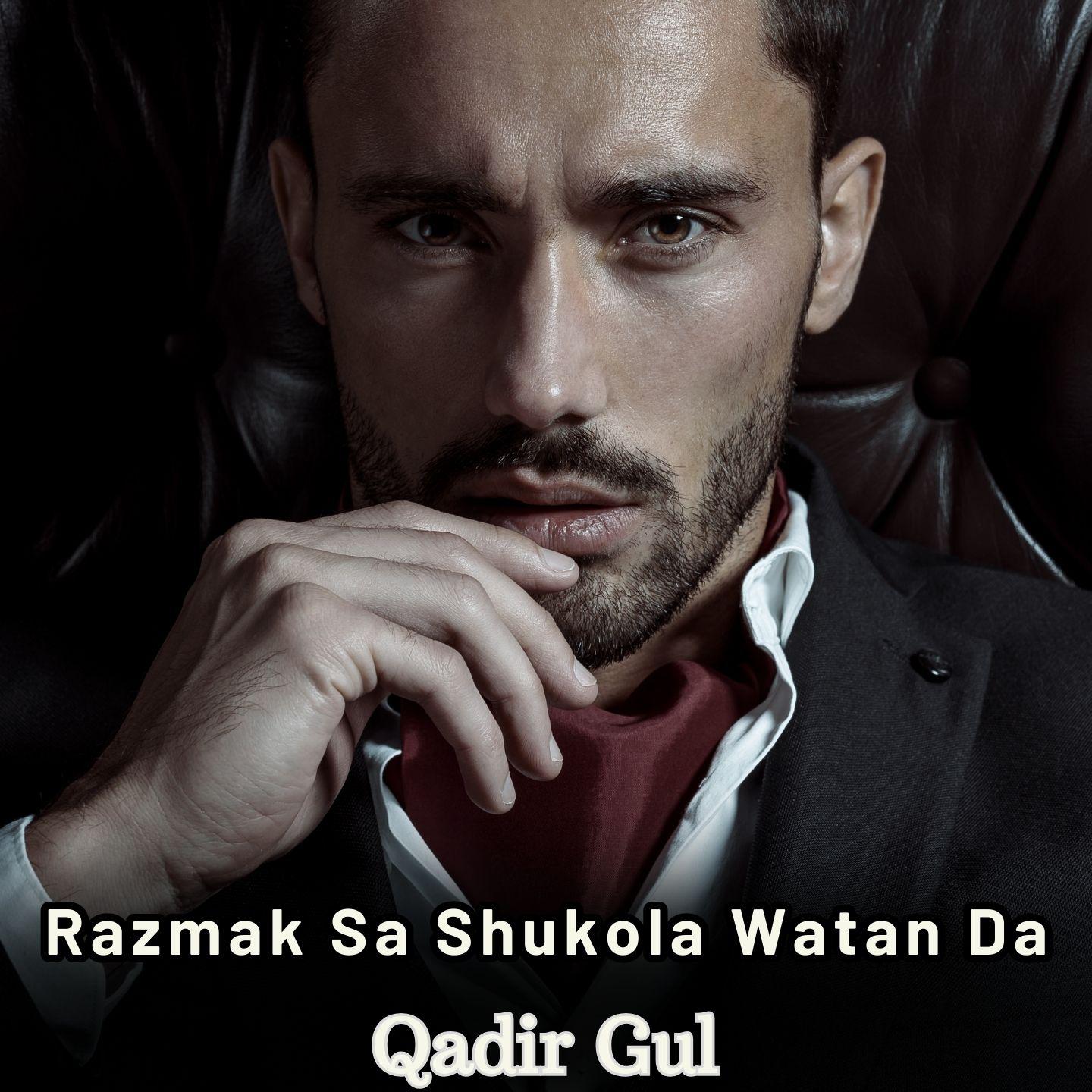 Постер альбома Razmak Sa Shukola Watan Da