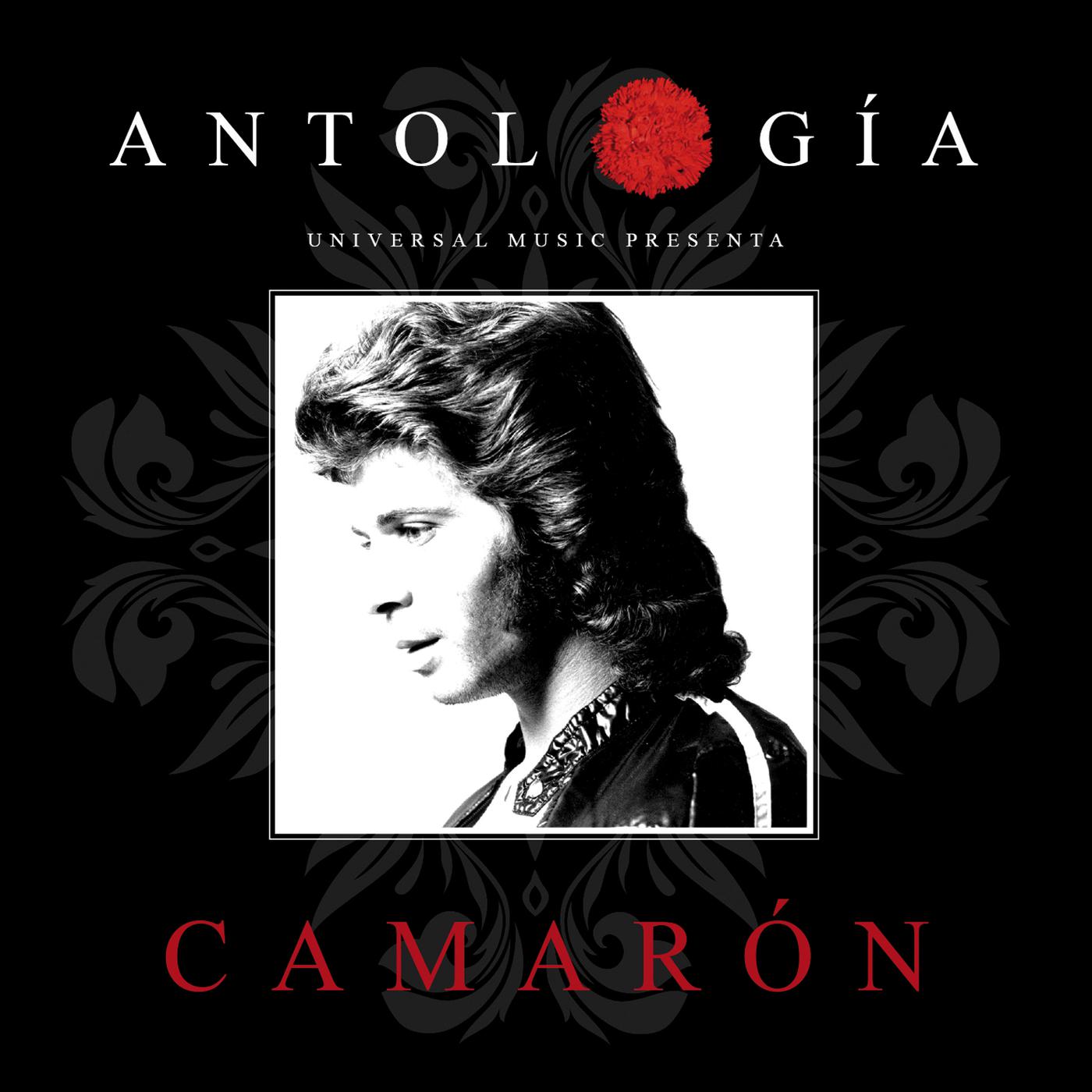 Постер альбома Antología De Camarón