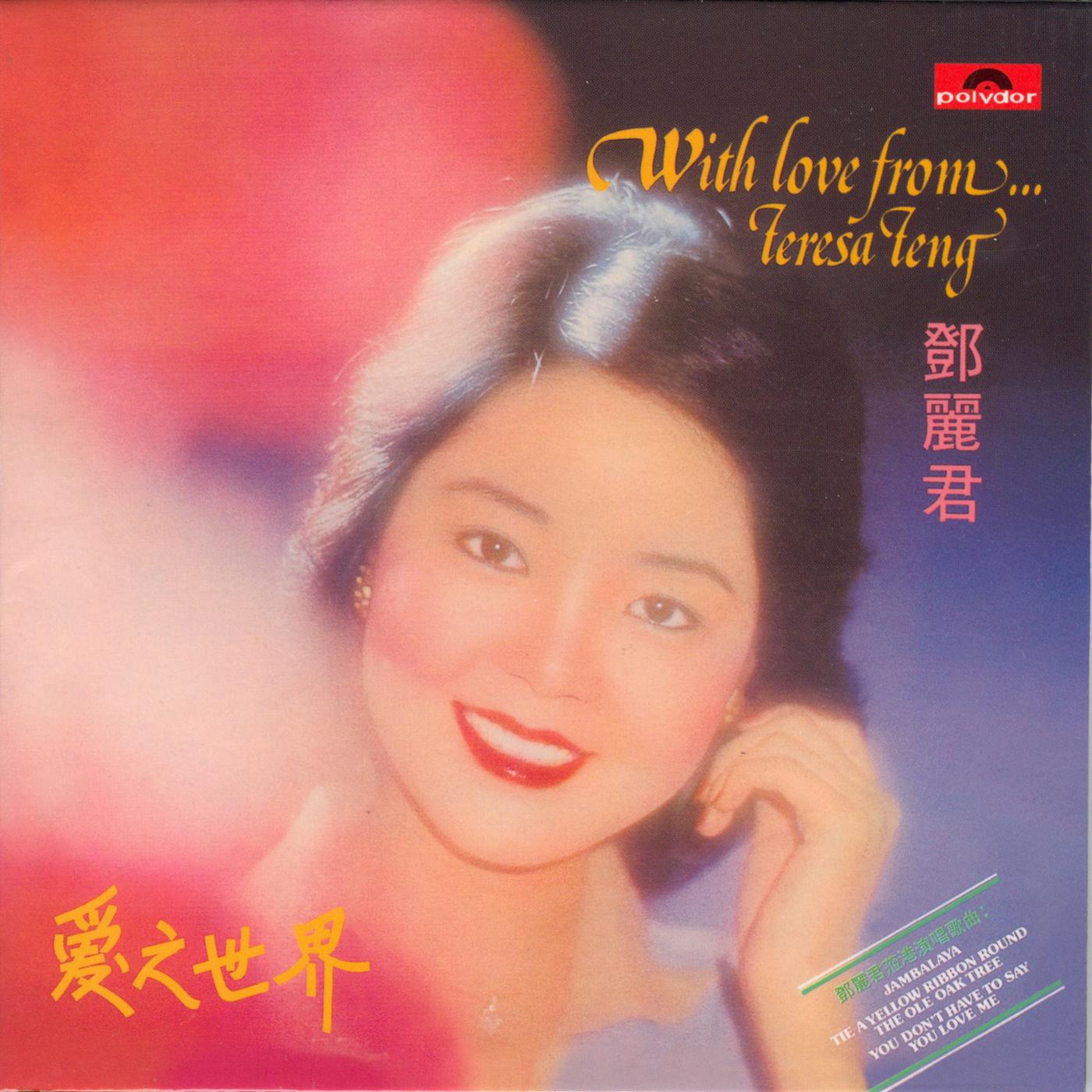 Постер альбома Ai Zhi Shi Jie