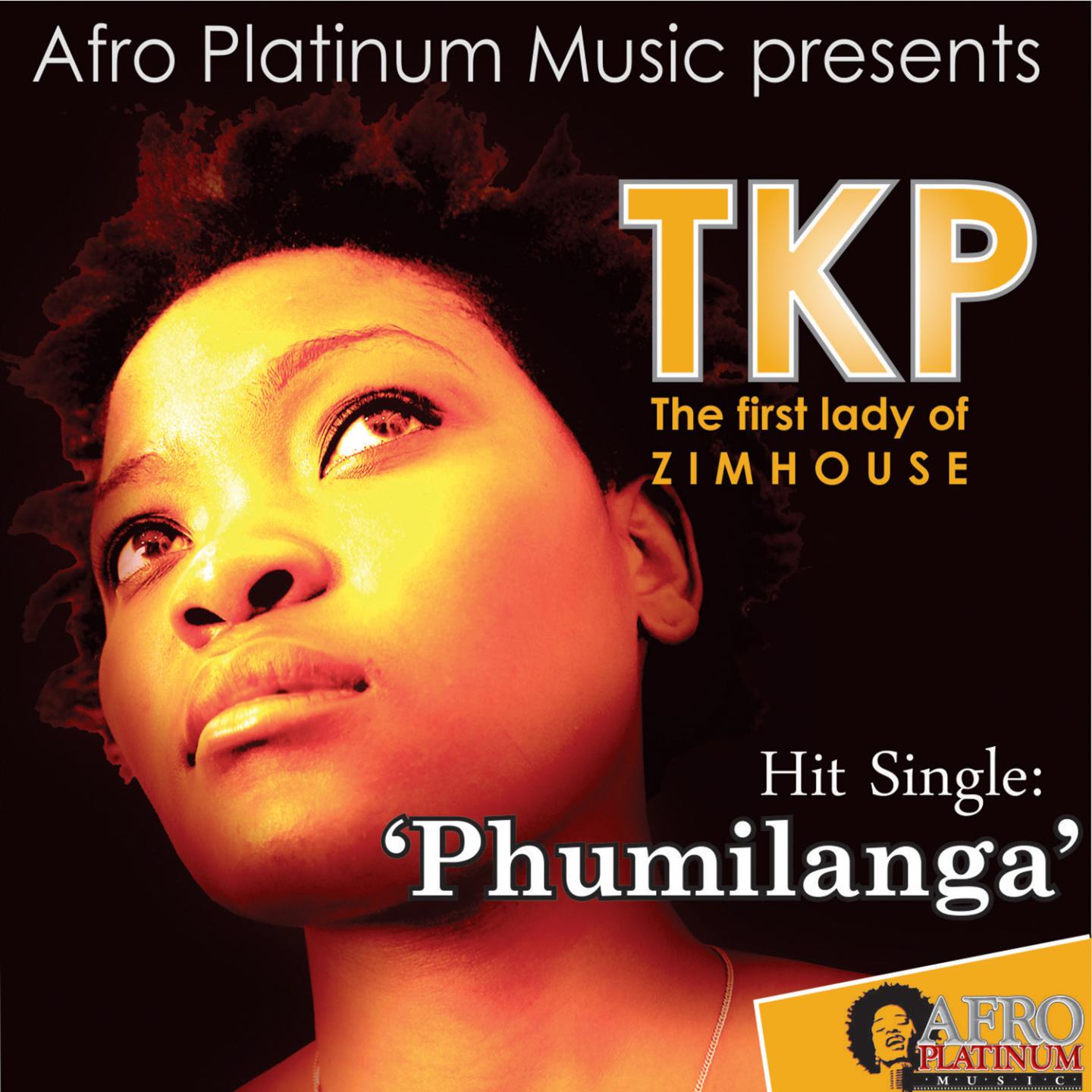 Постер альбома Phumilanga