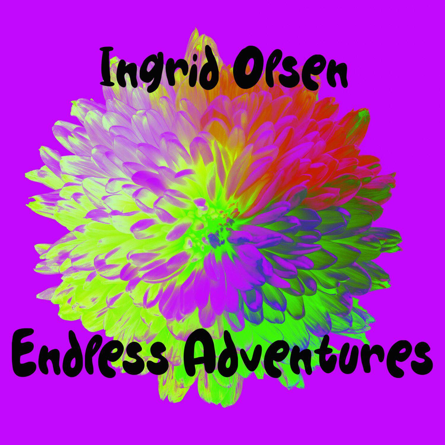 Постер альбома Endless Adventures