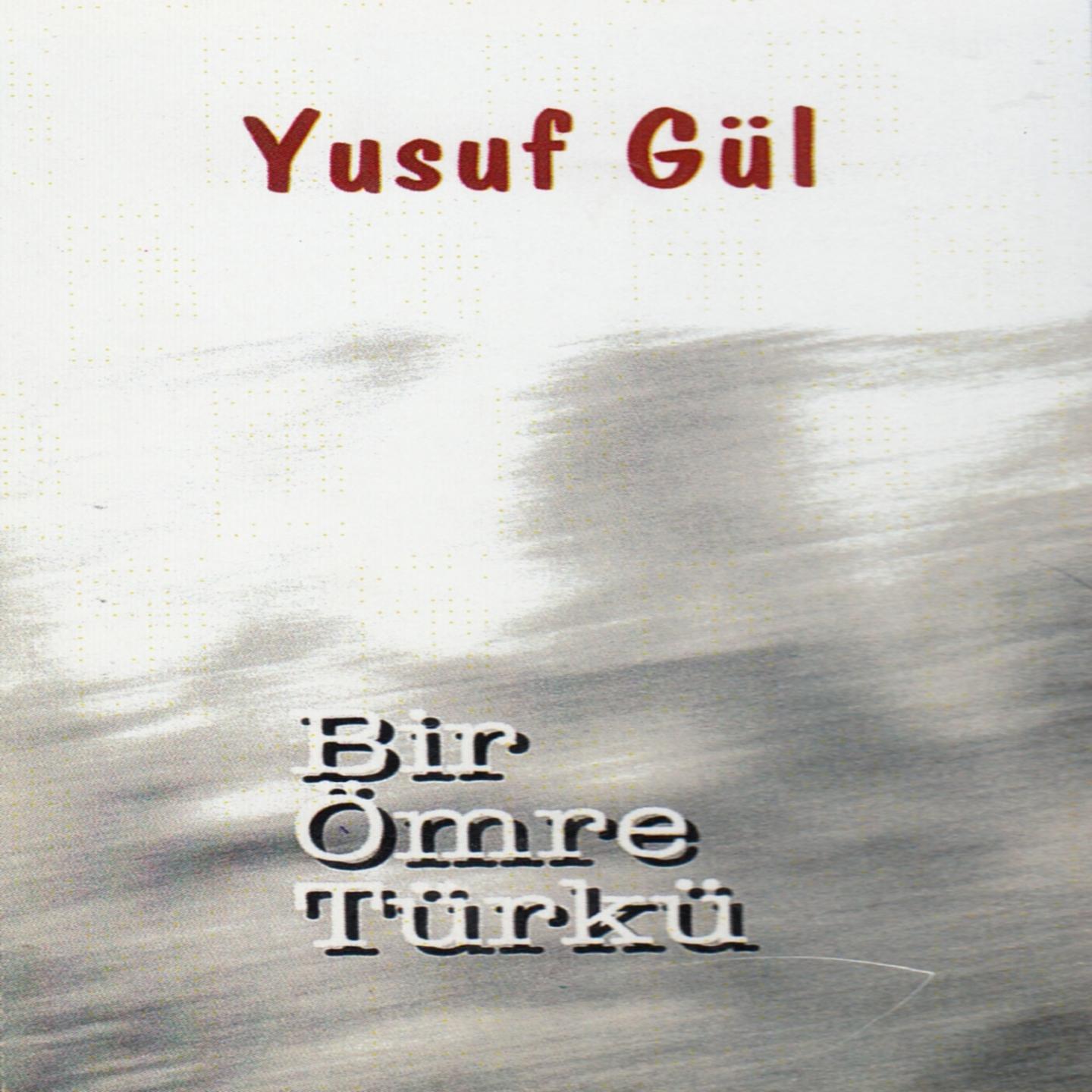 Постер альбома Bir Ömre Türkü