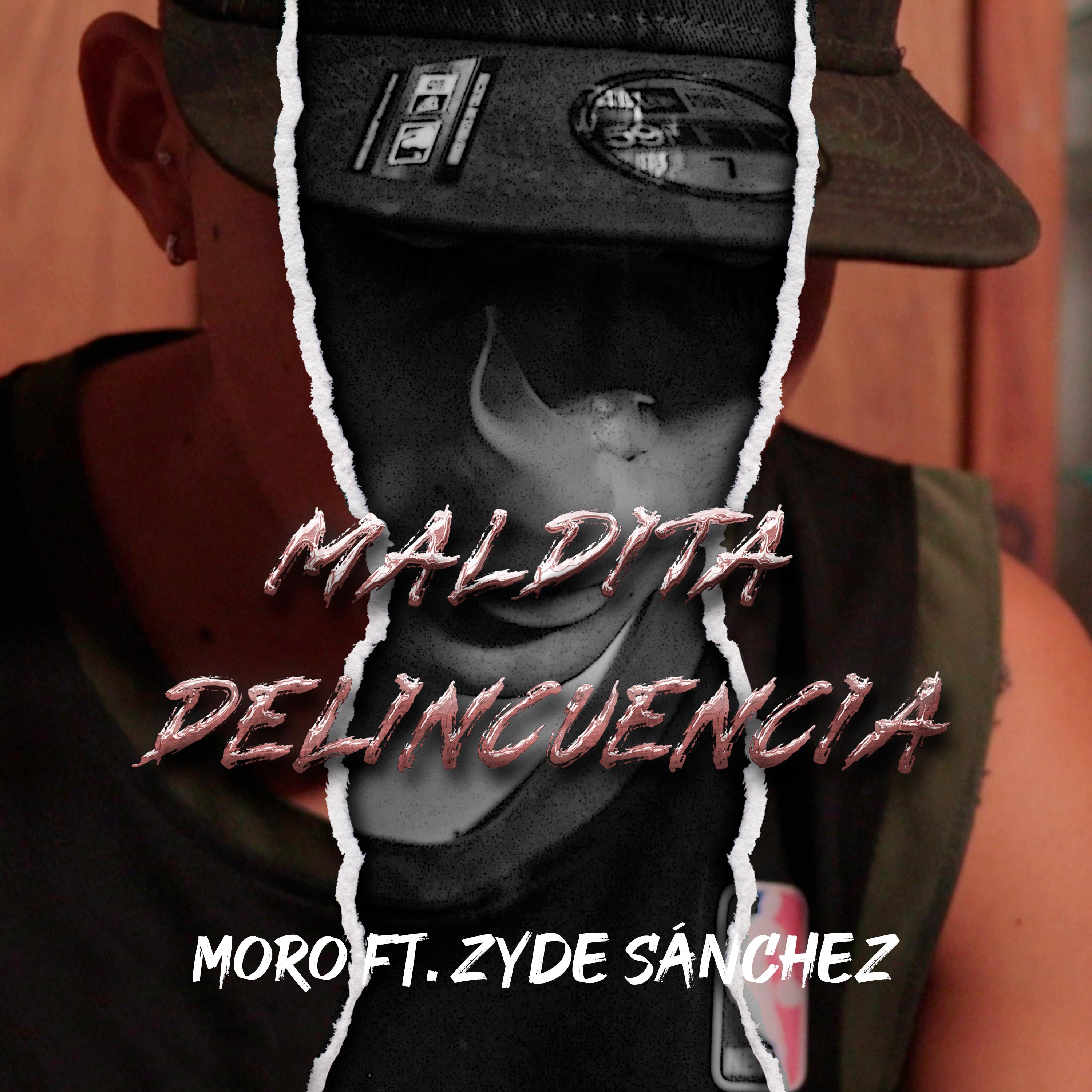 Постер альбома Maldita Delincuencia