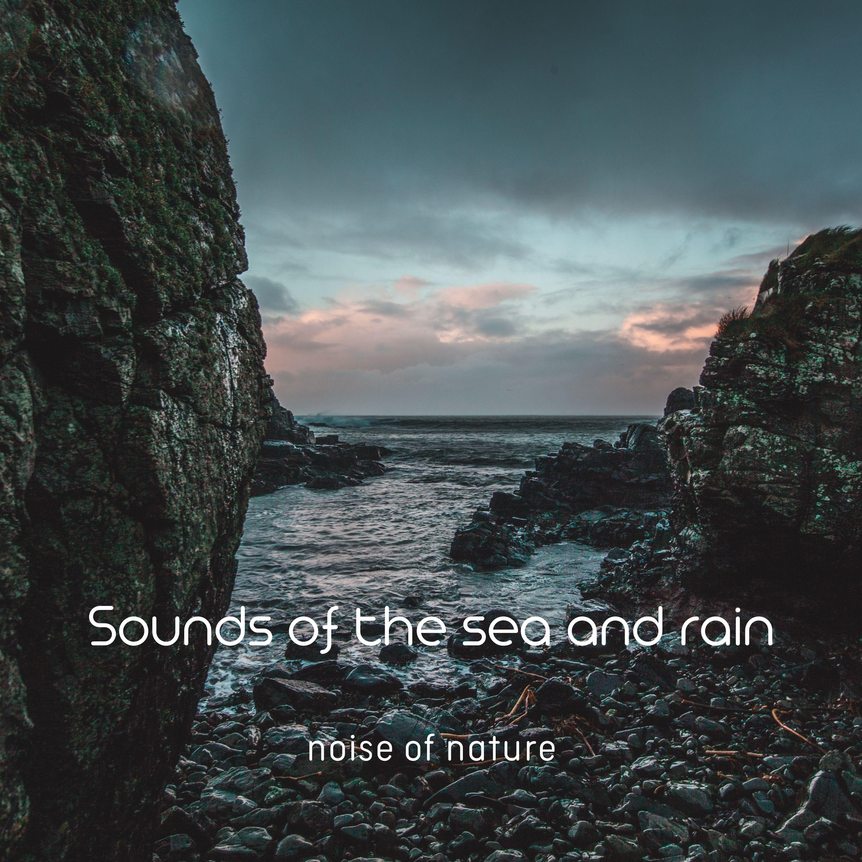 Постер альбома Sounds of the sea and rain