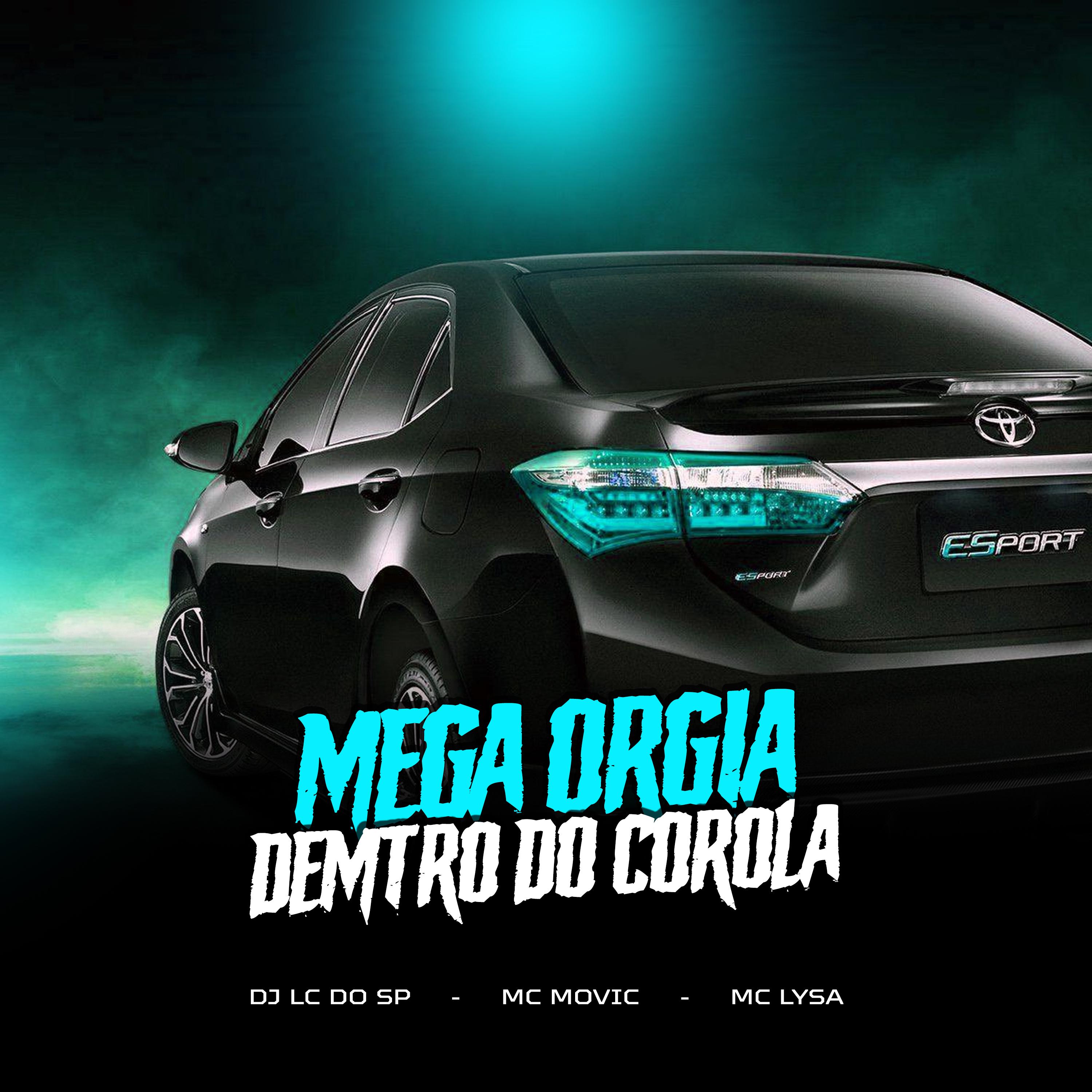 Постер альбома Mega Orgia Dentro do Corola