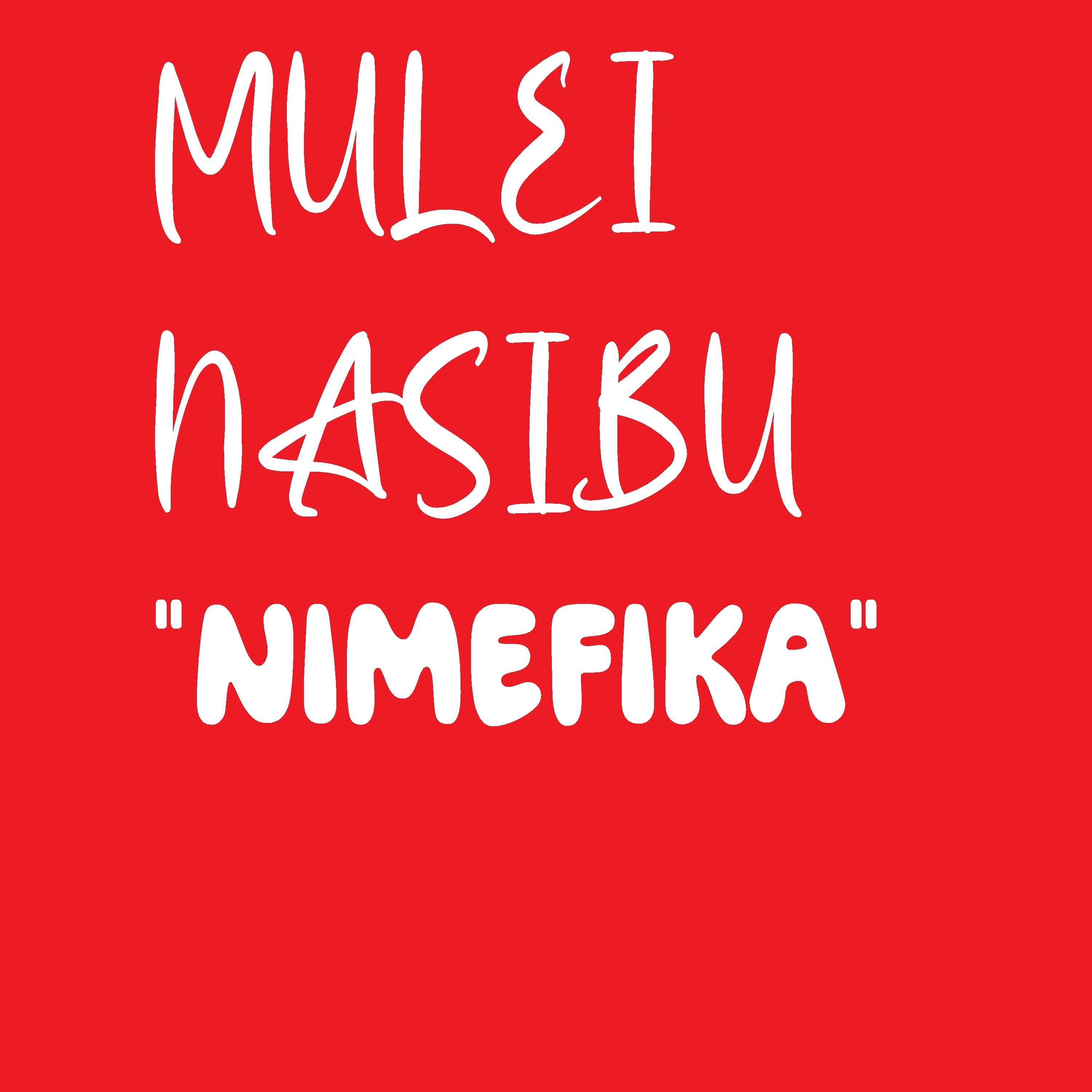 Постер альбома Nimefika