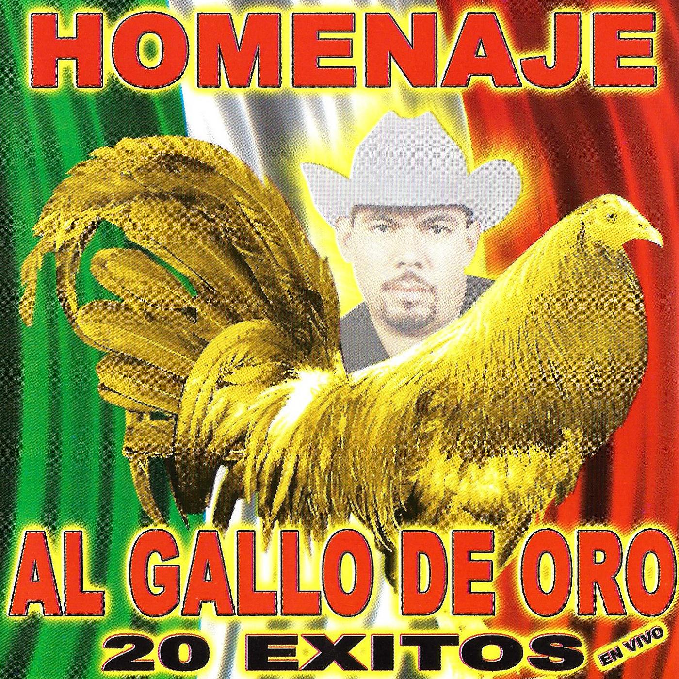 Постер альбома Homenaje Al Gallo De Oro