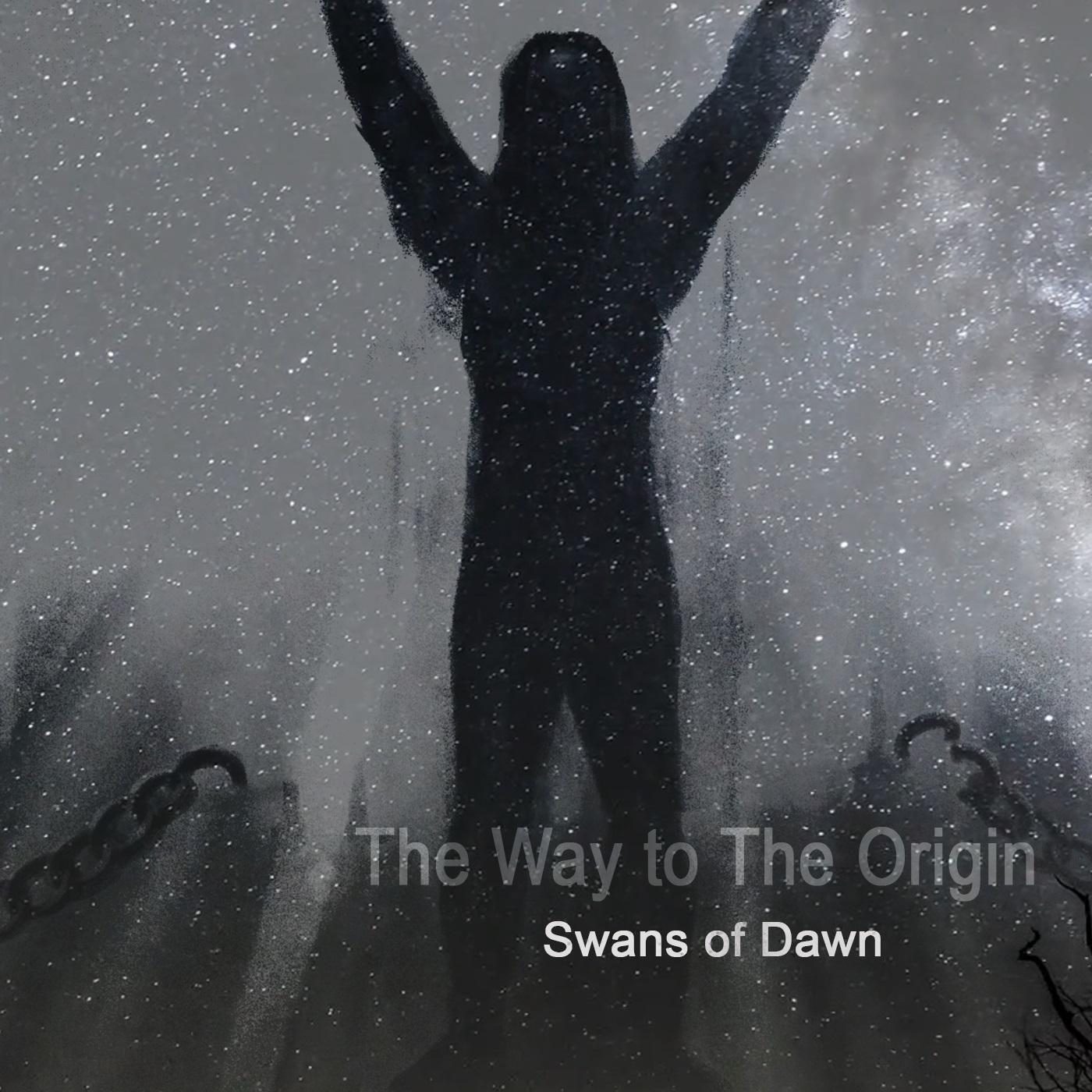 Постер альбома Swans of Dawn
