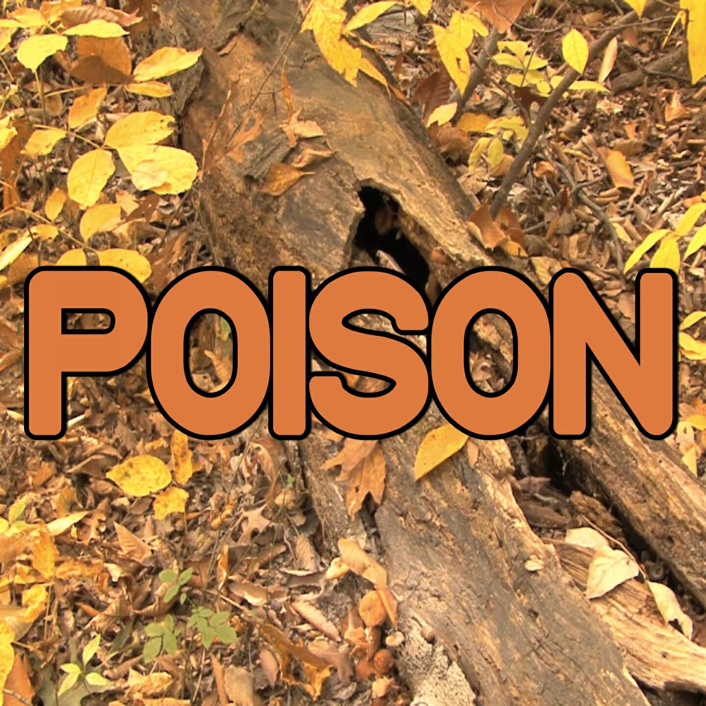 Swift Hits - Poison - Tribute to Rita Ora (Instrumental Version)