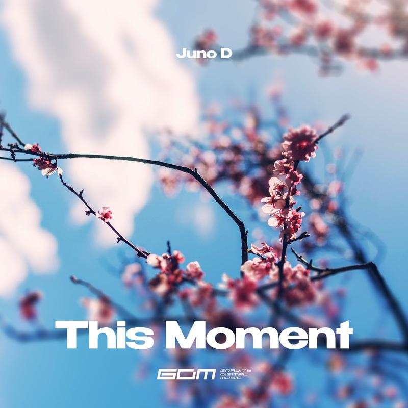 Постер альбома This Moment Extended Mix