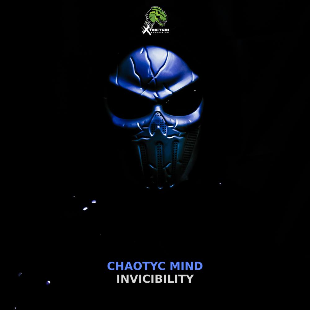 Постер альбома Invicibility