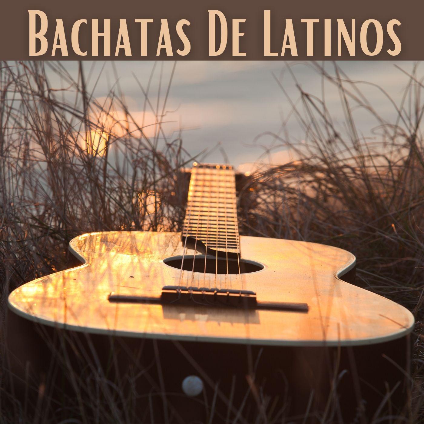 Постер альбома Bachatas de latinos