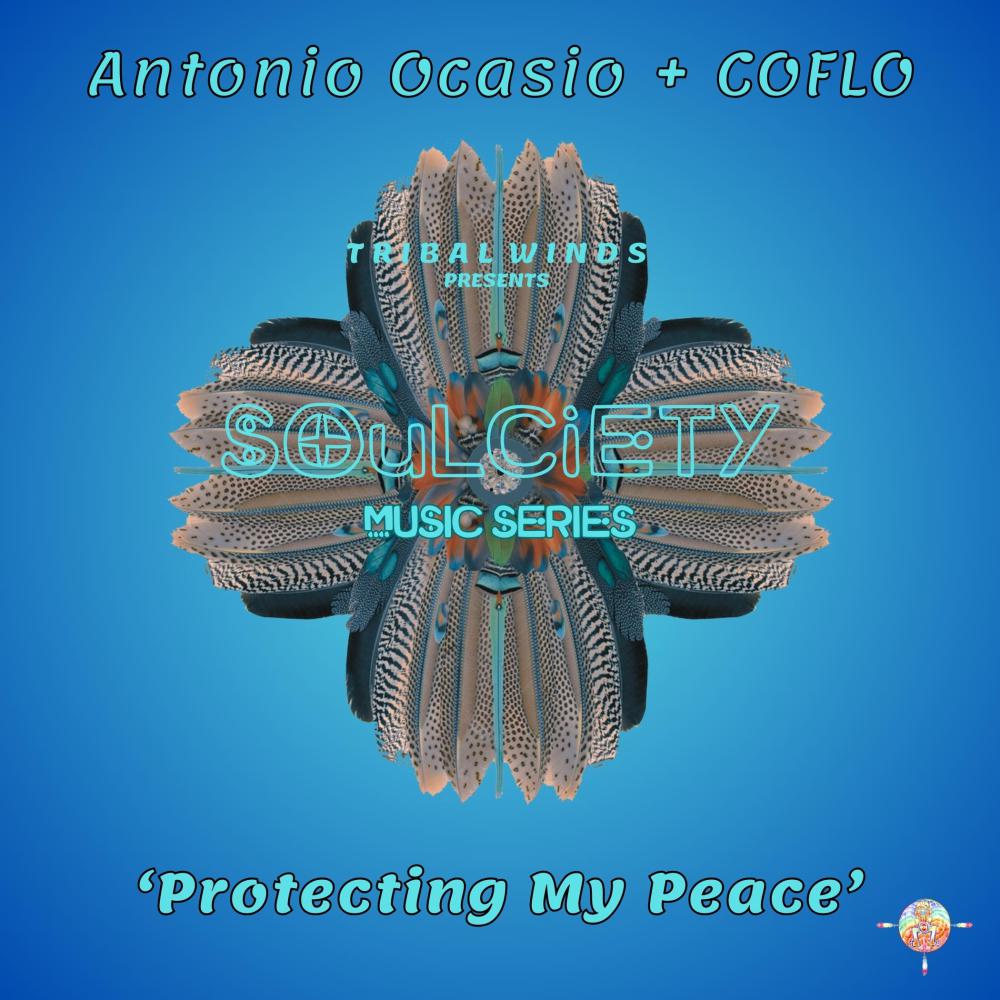 Постер альбома Protecting My Peace