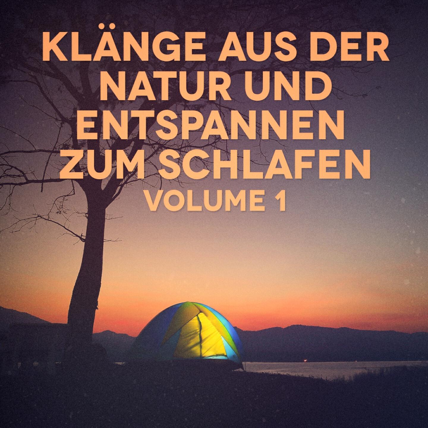 Michael Hamilton - Nächtliche Brachlandgeräusche 2: Kröten, Nachtschwalben und Grillen