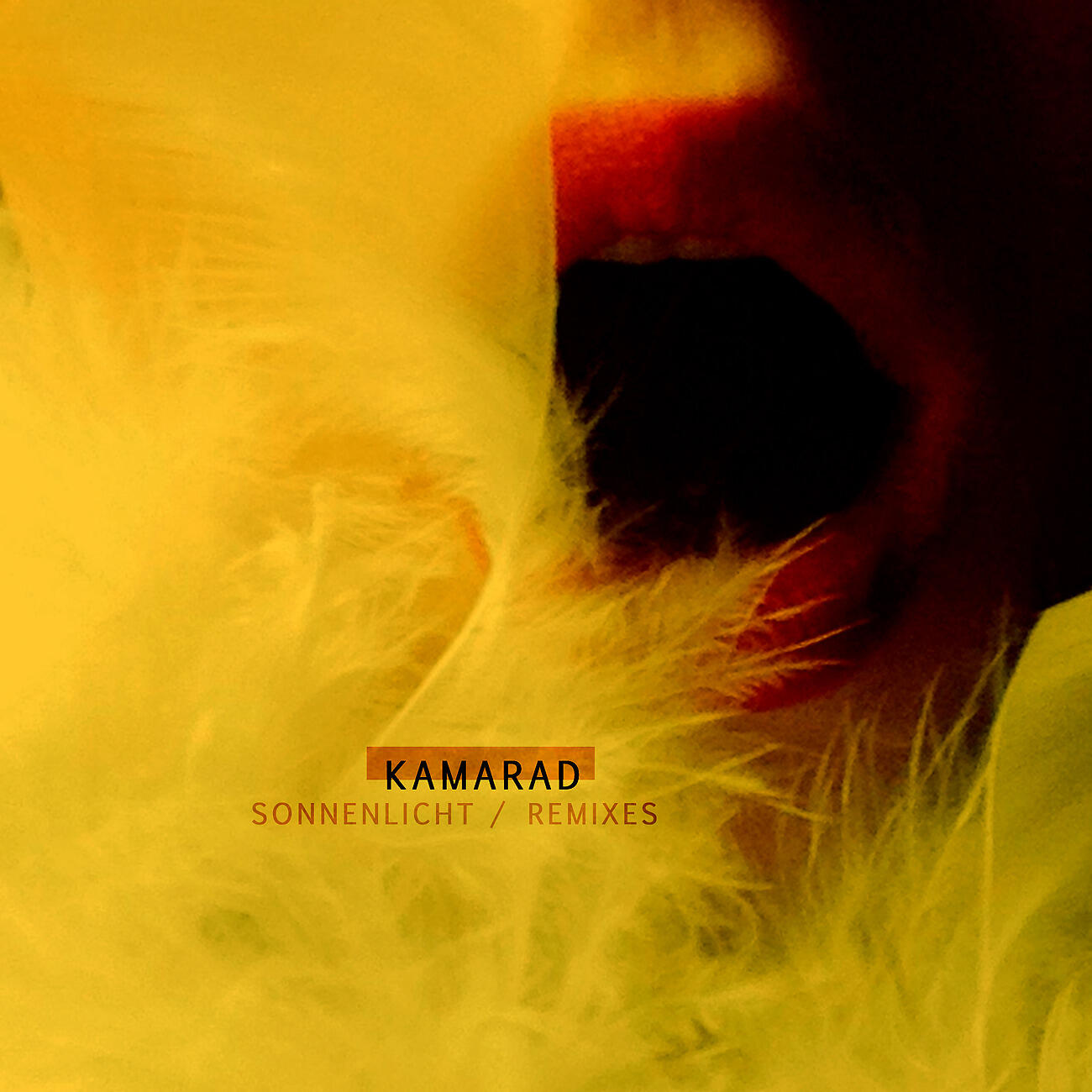Kamarad - LFW (Gunnar Lenke Remix)