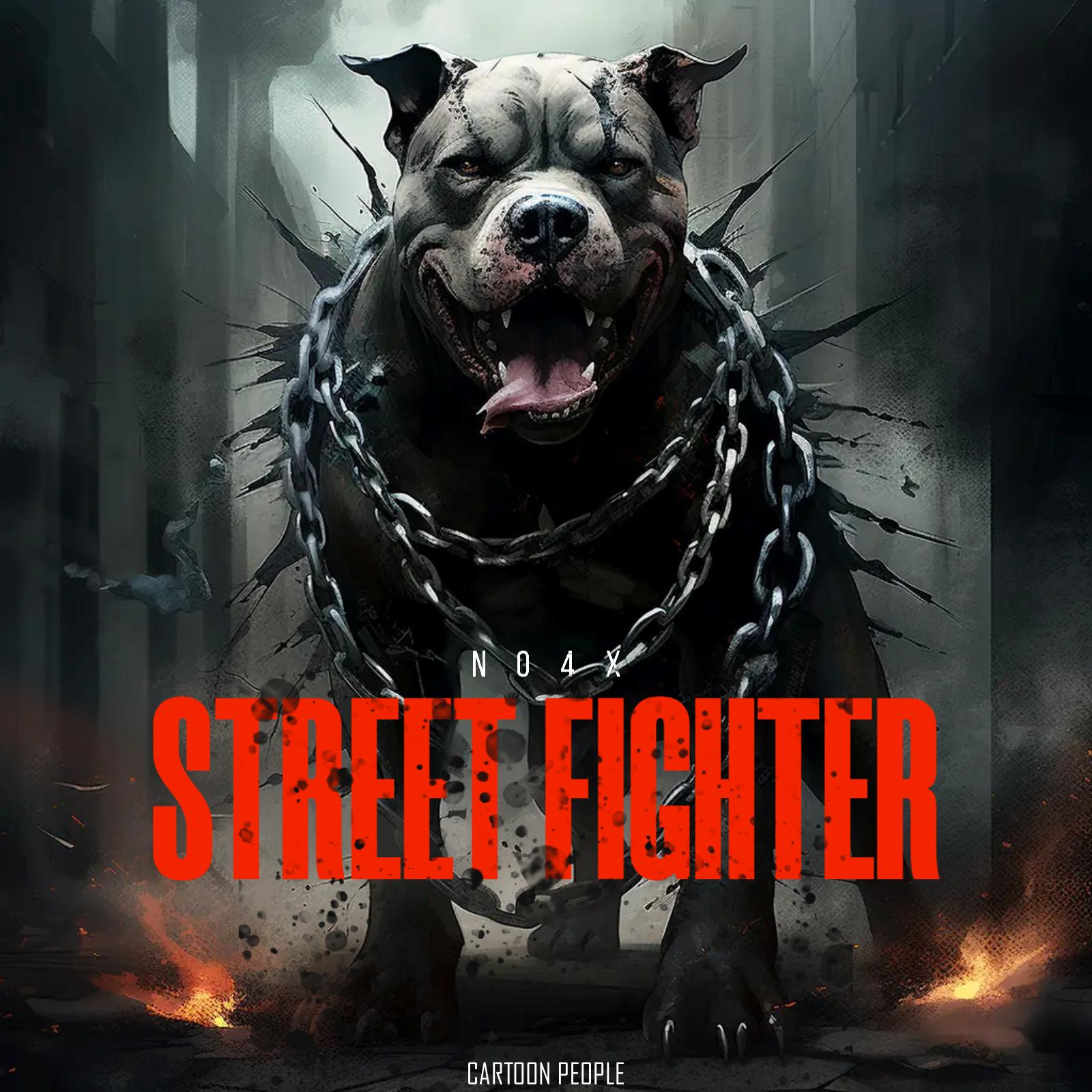 Постер альбома Street Fighter