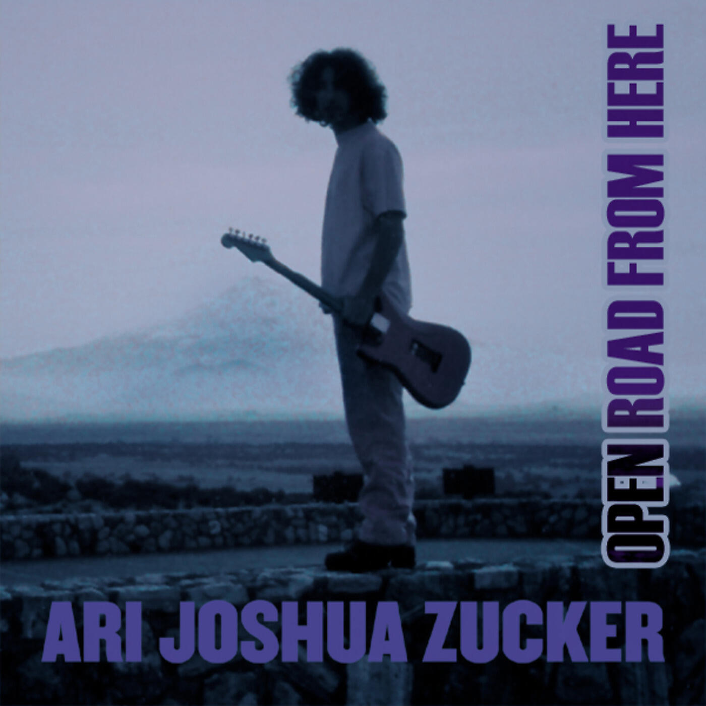 Ari Joshua Zucker - Columbia