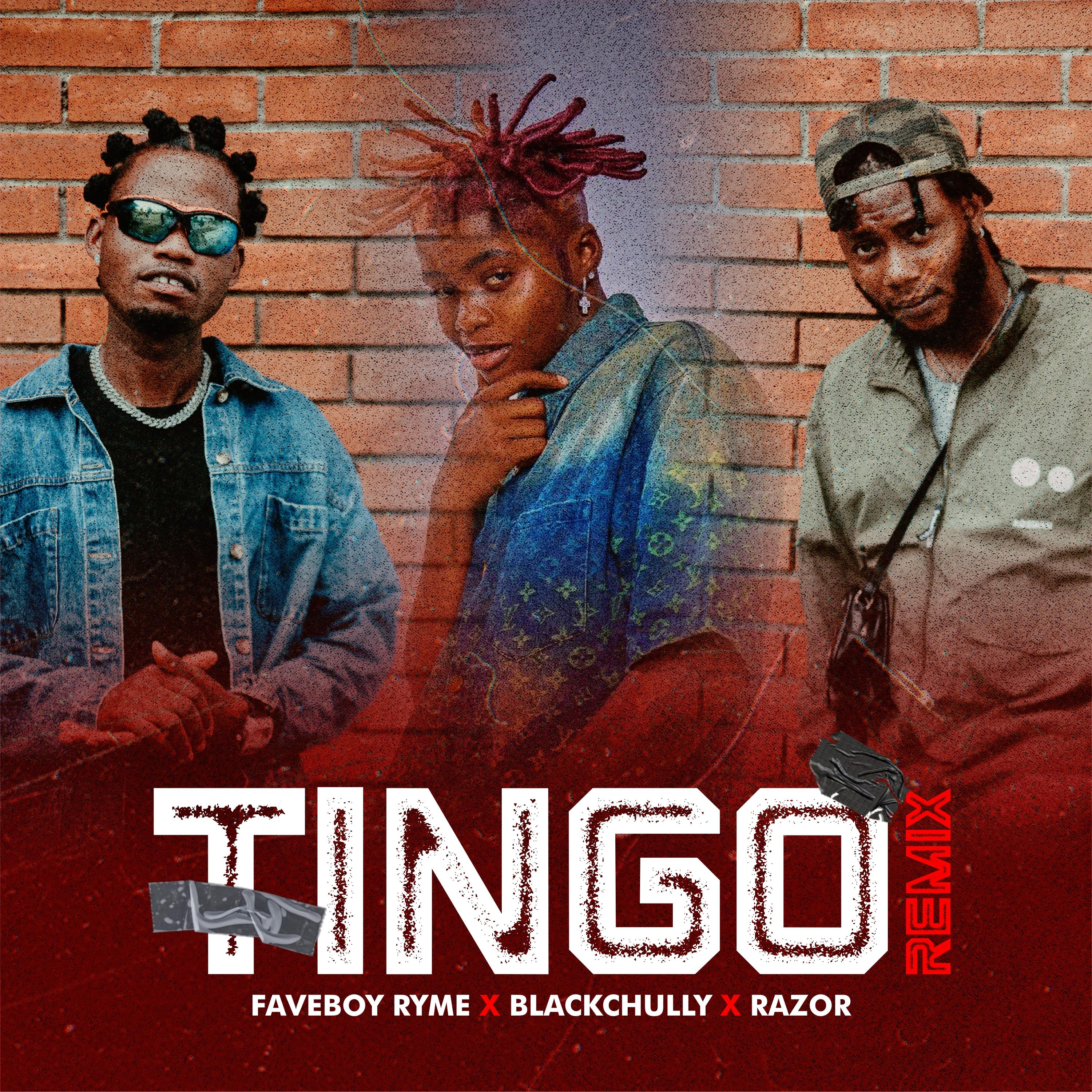Постер альбома Tingo