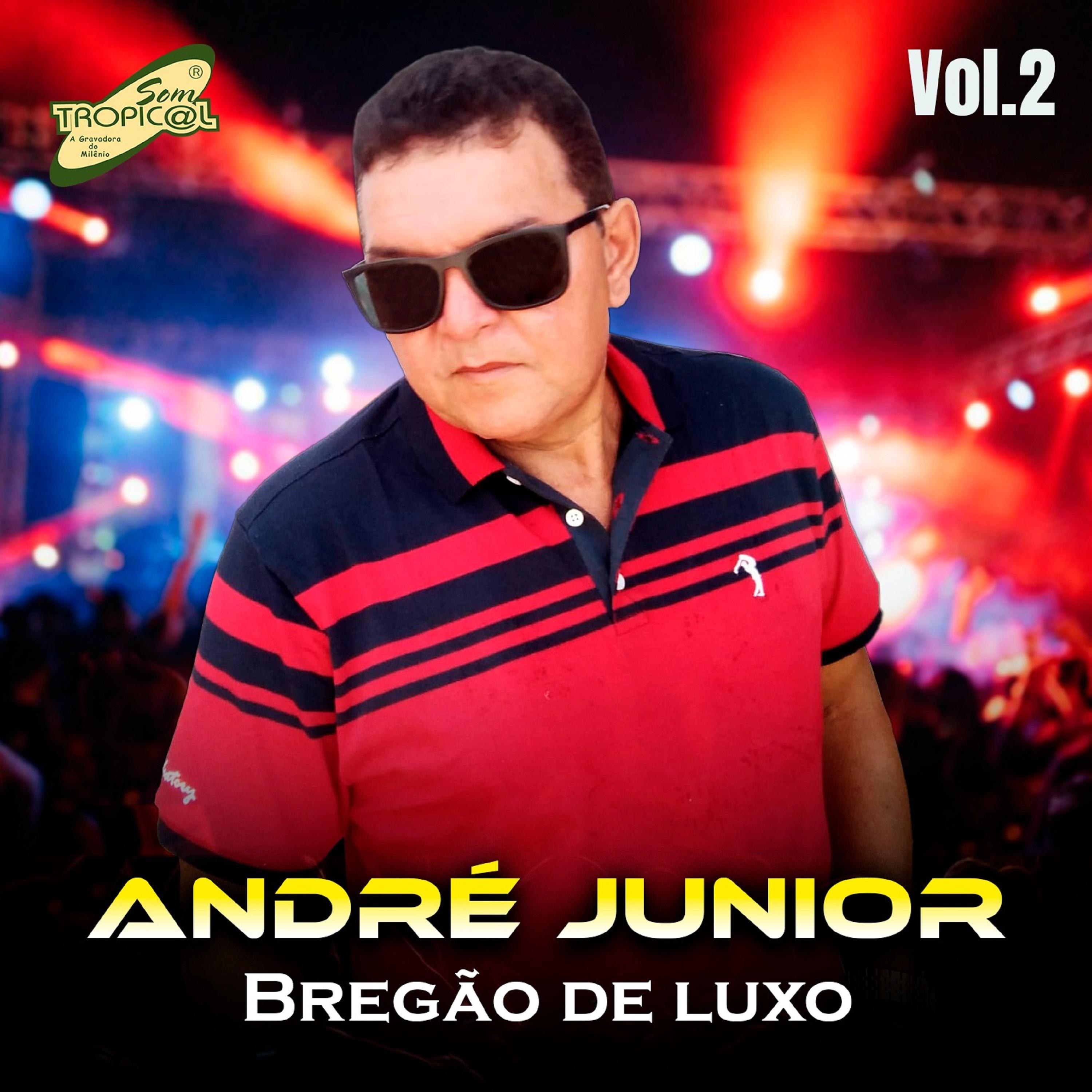 Постер альбома Bregão de Luxo Vol.2