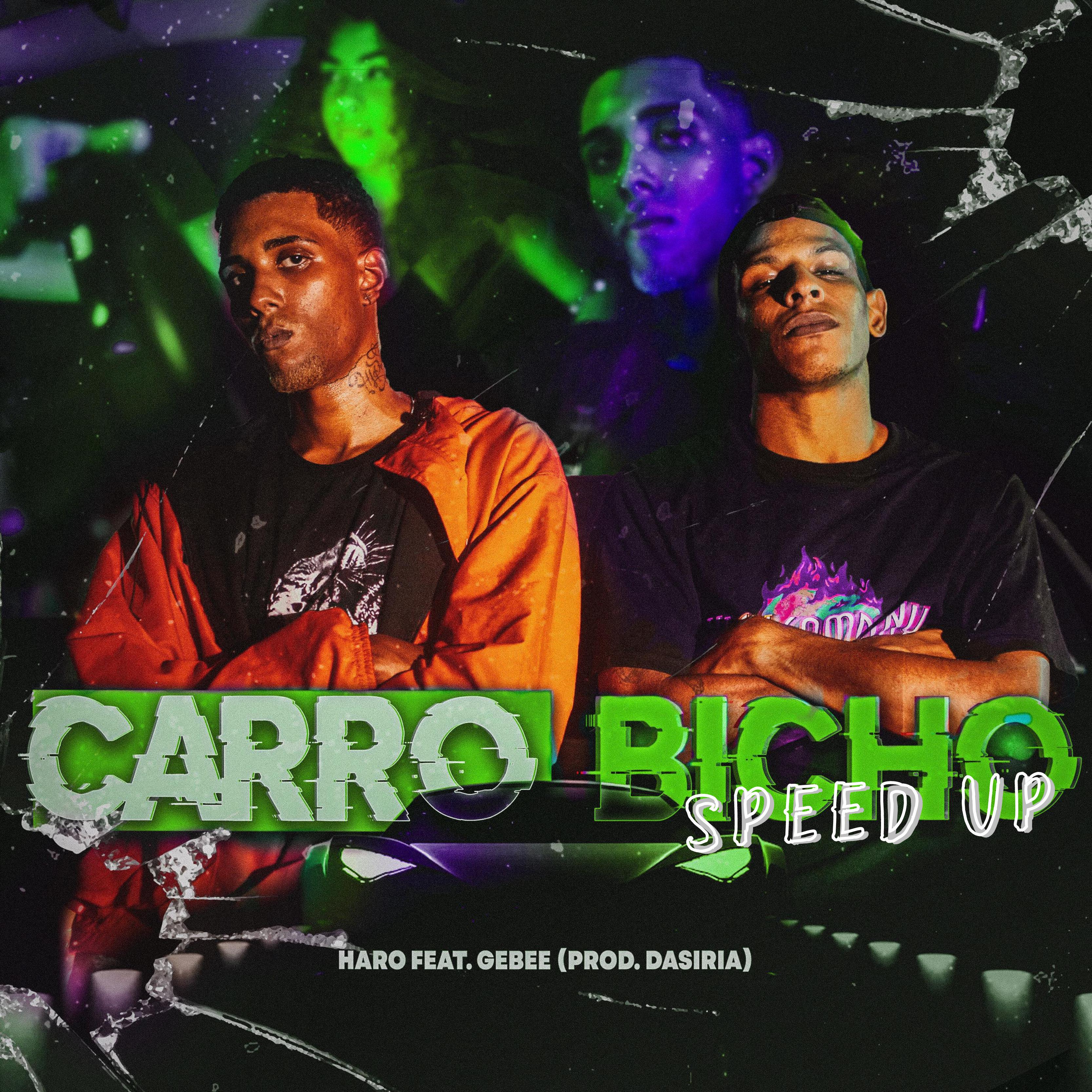 Постер альбома Carro Bicho (Speedup)