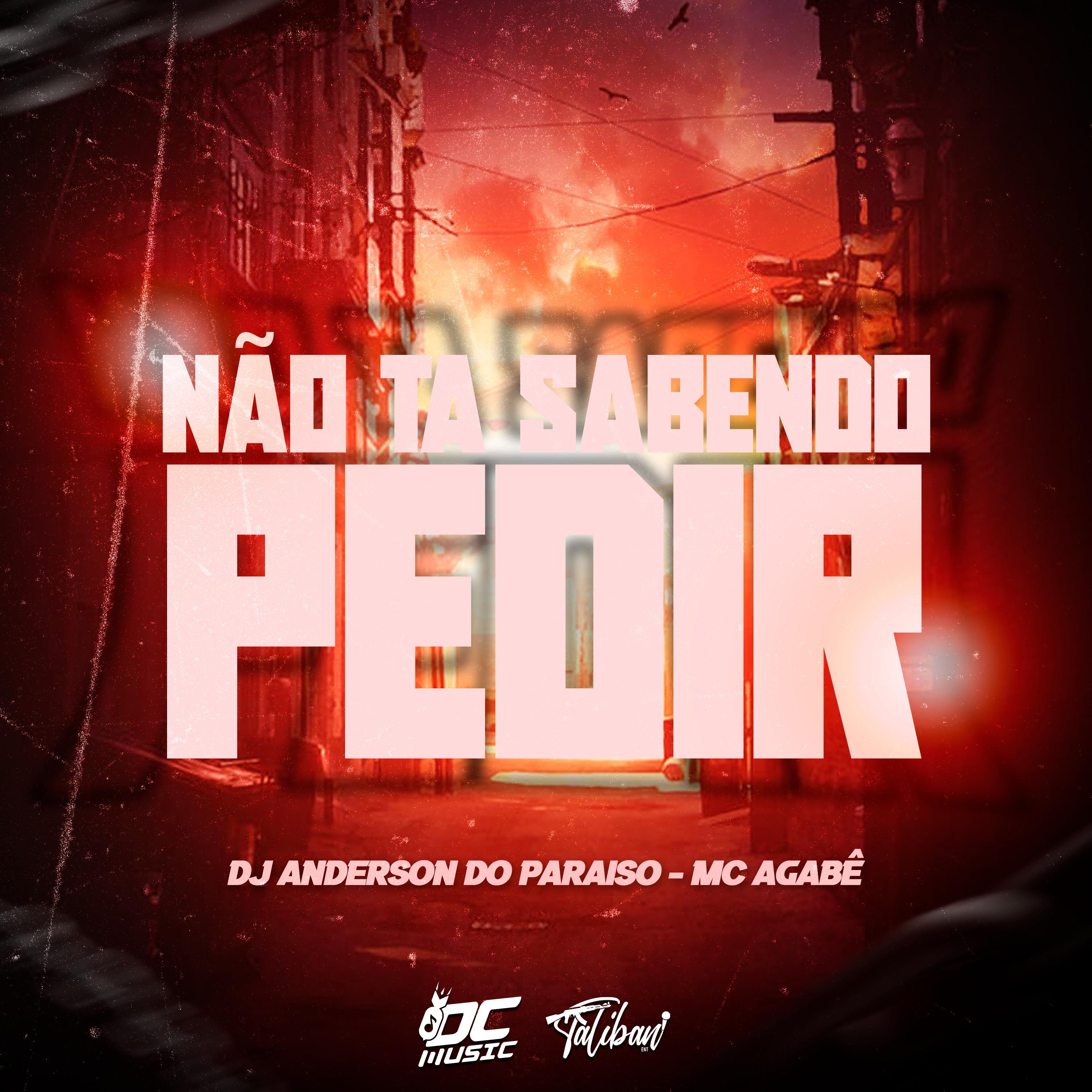 Постер альбома Não Ta Sabendo Pedir