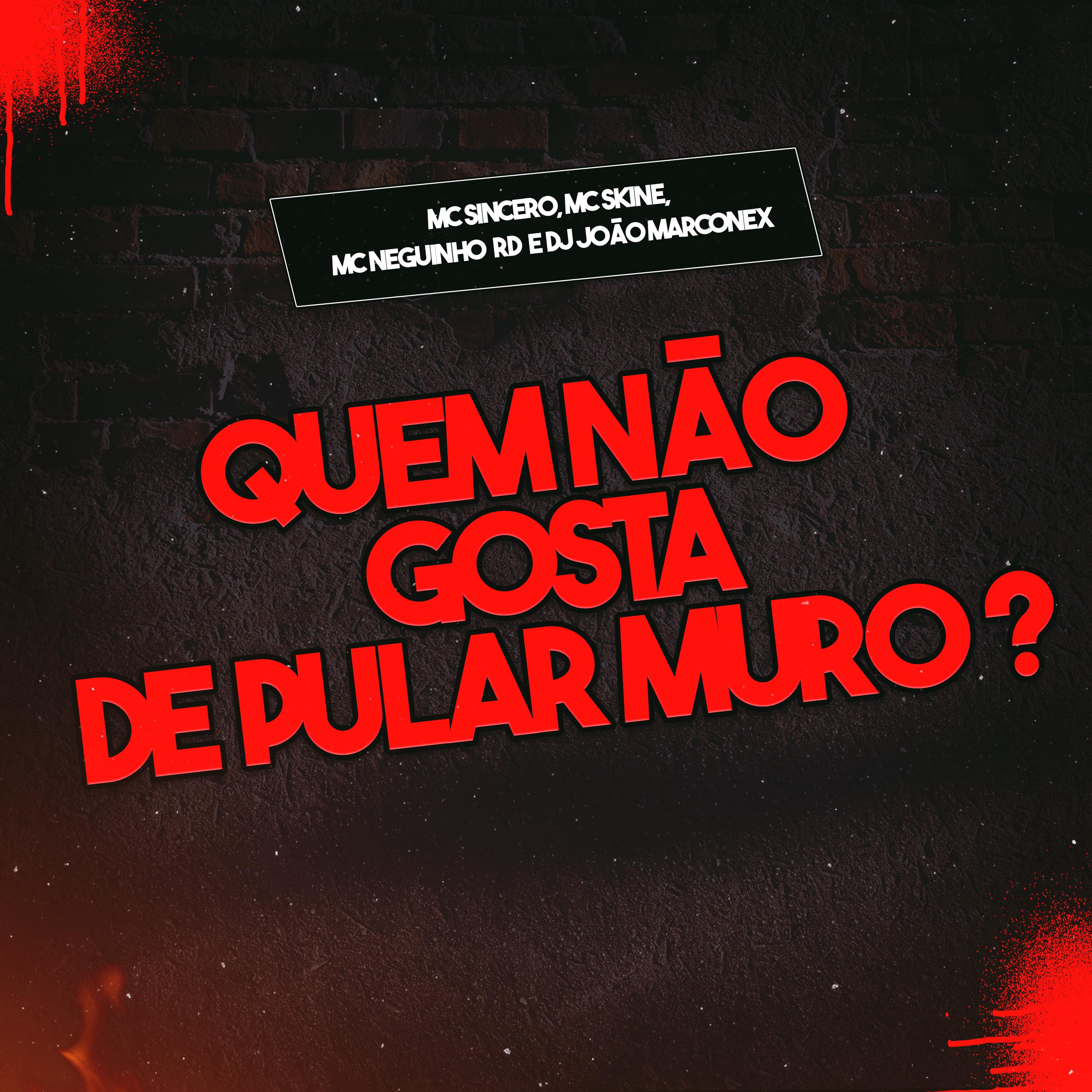 Постер альбома Quem Não Gosta de Pular Muro?