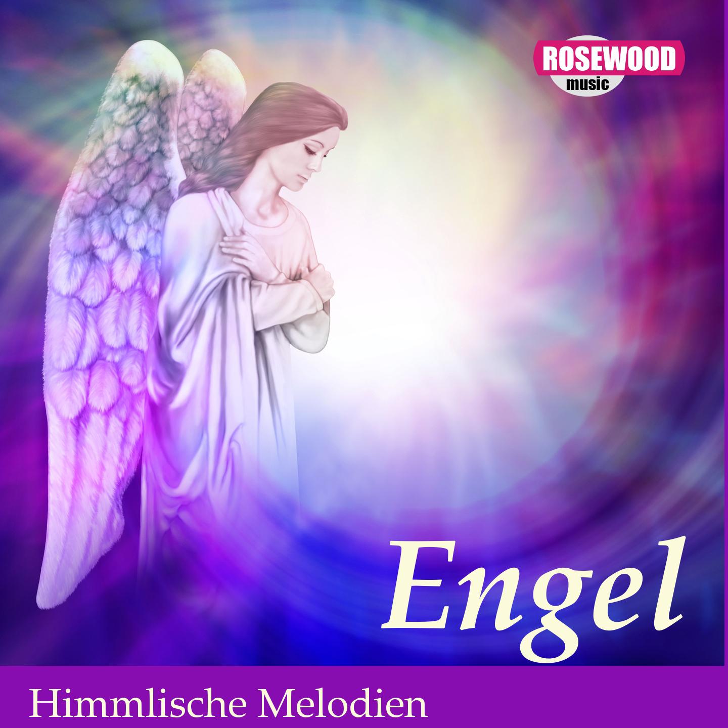 Постер альбома Engel