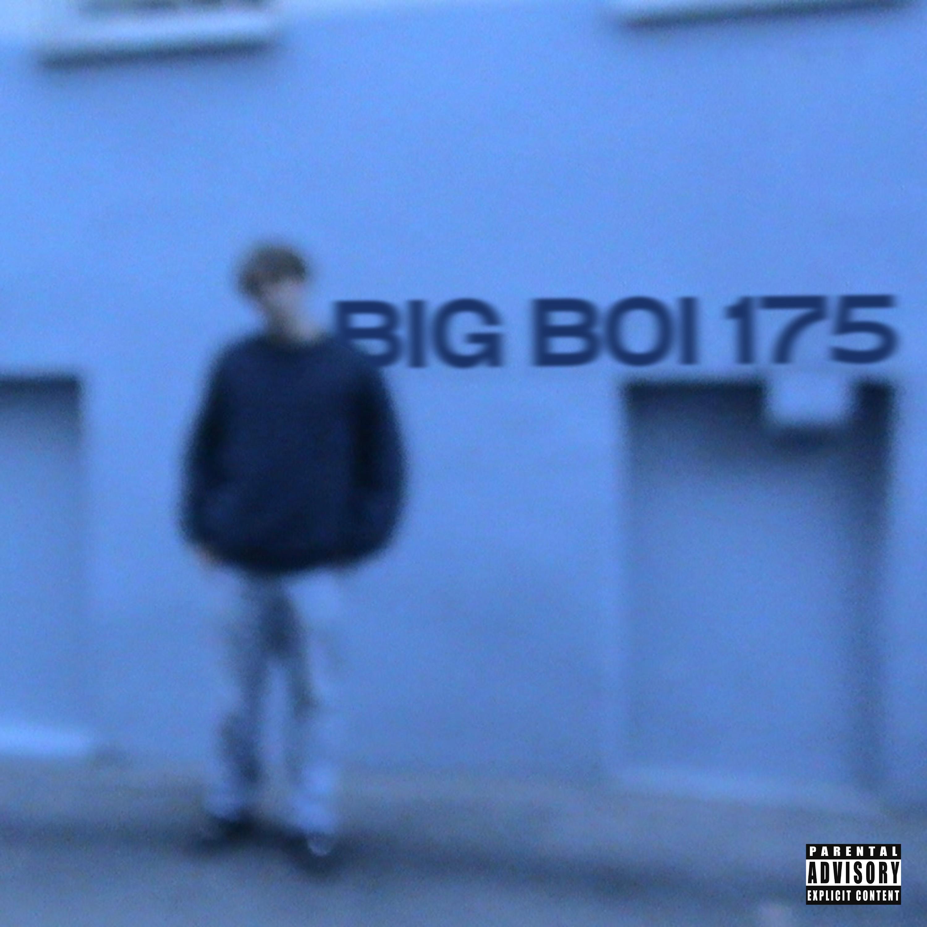 Постер альбома BIG BOI 175