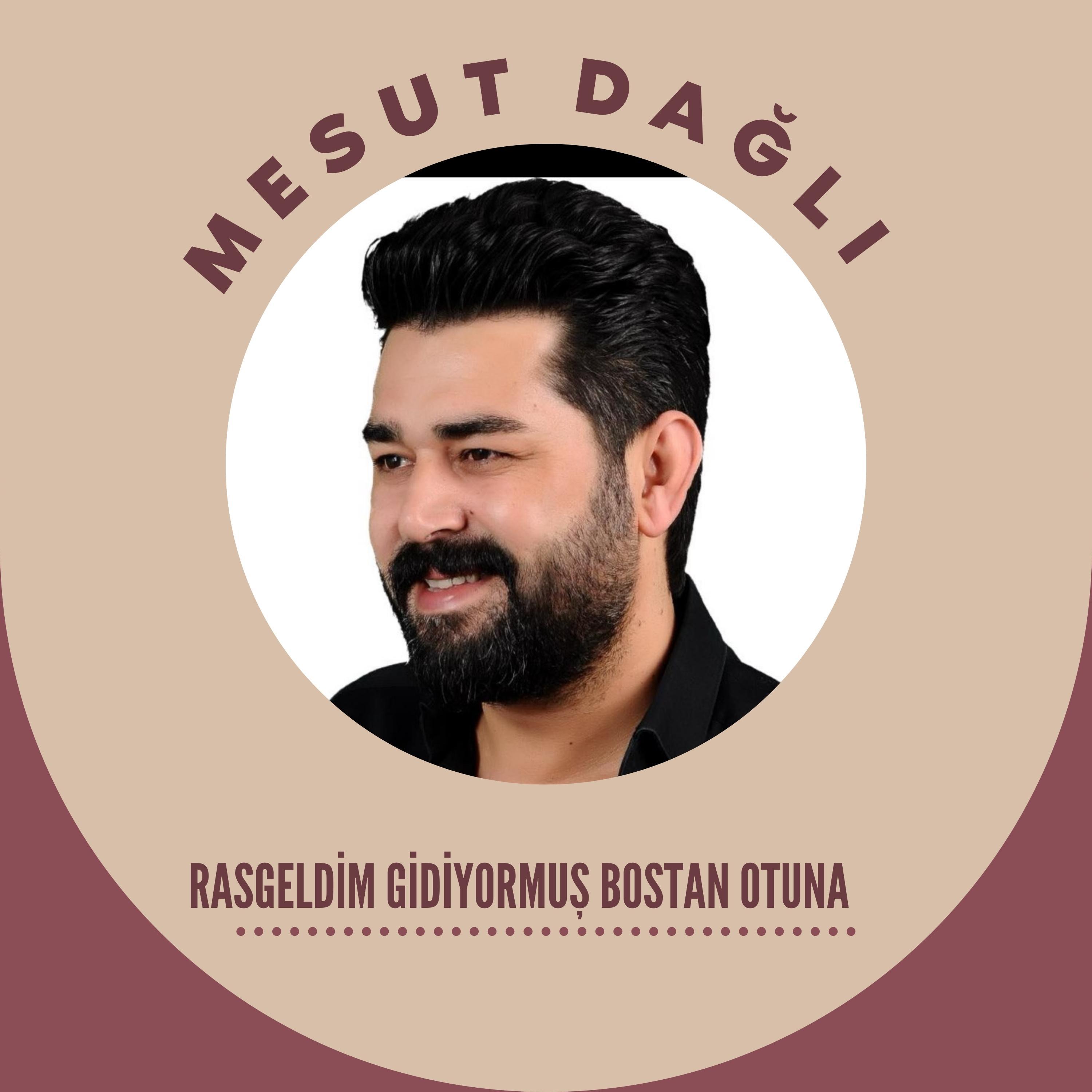 Постер альбома Rasgeldim Gidiyormuş Bostan Otuna